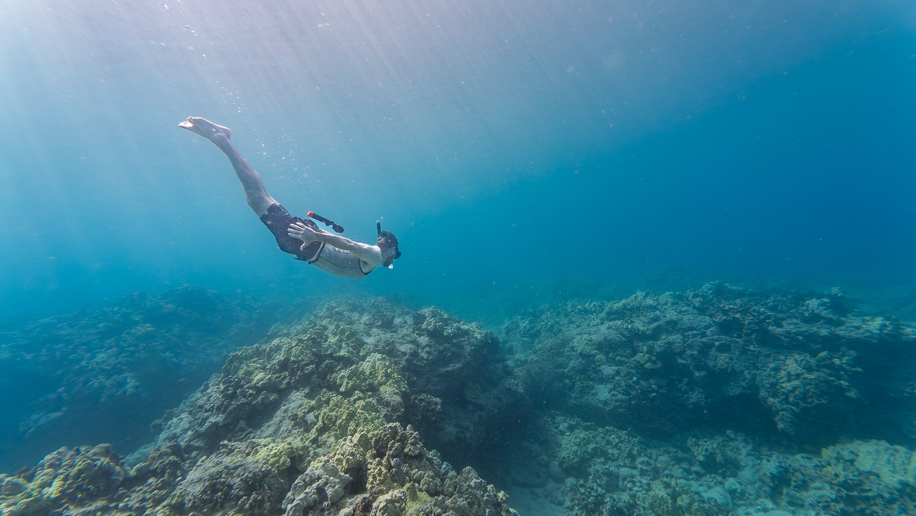 MaunaLani_GivensDive-1.jpg