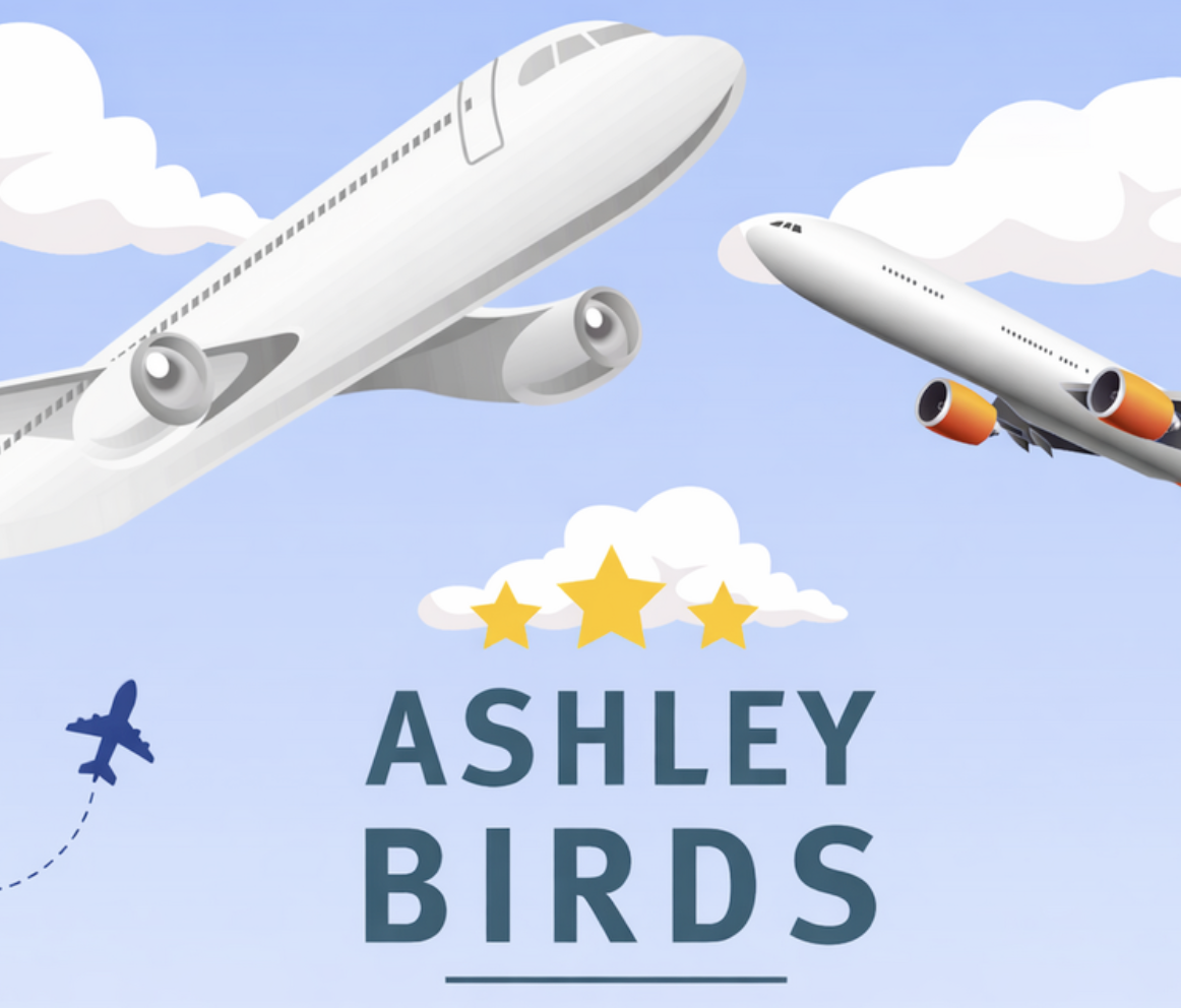 Welcome to the Flock Ashley Birds