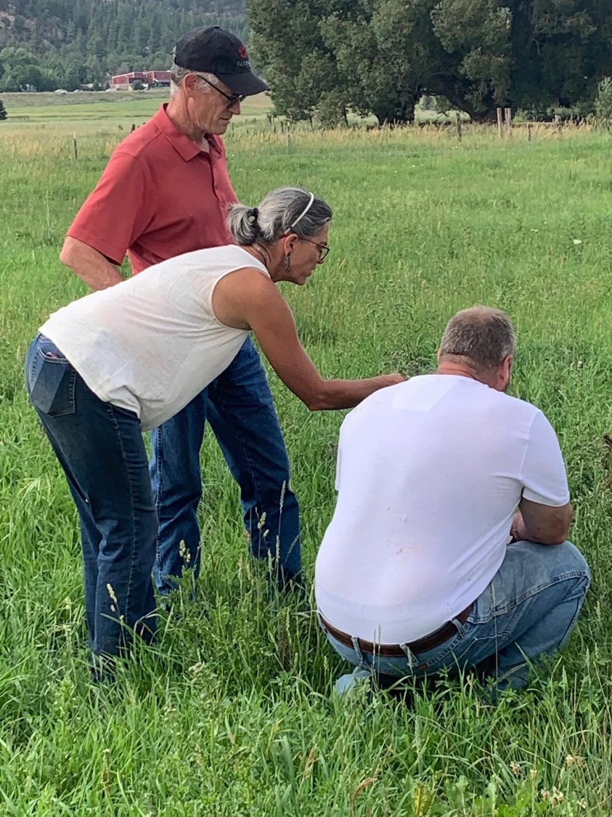 On-Going Farm Transformation Plan