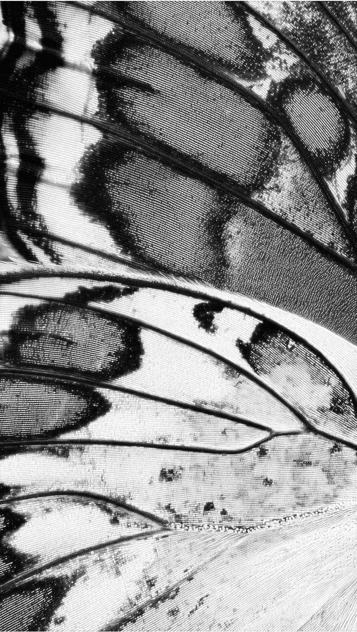 Q&A WITH SEMISPOILED & HOPELESS VISIONARY