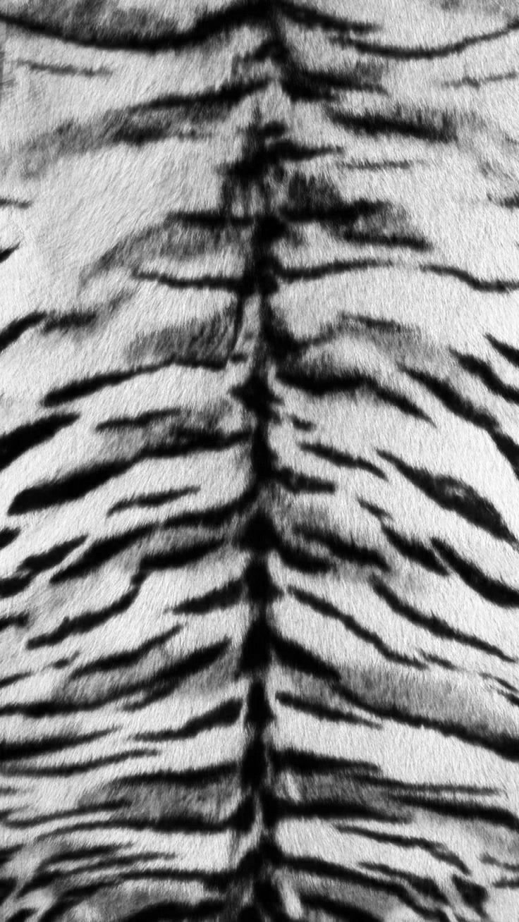 EDITOR'S LETTER FOR ZIPPED MAGAZINE