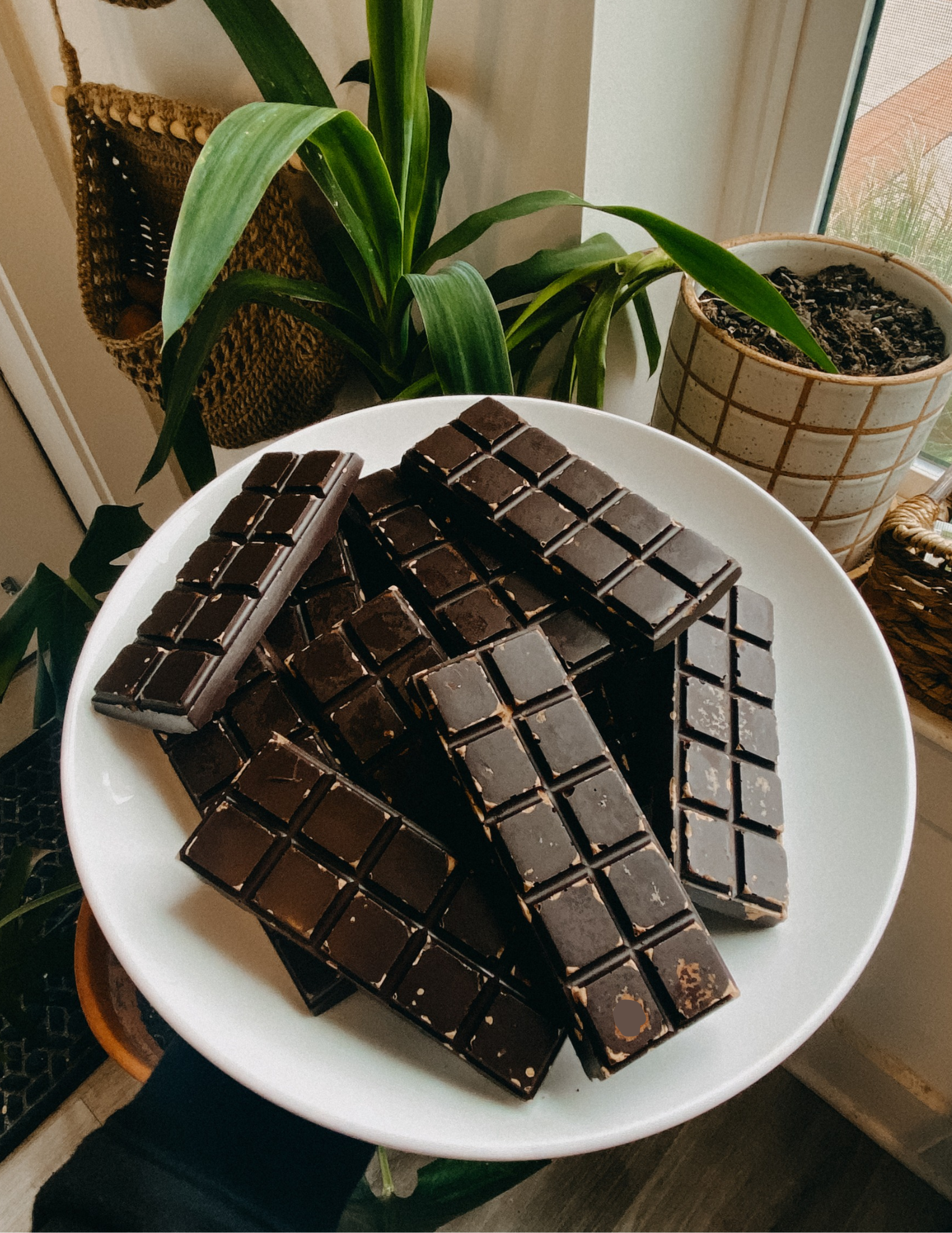 chocolate pic.png