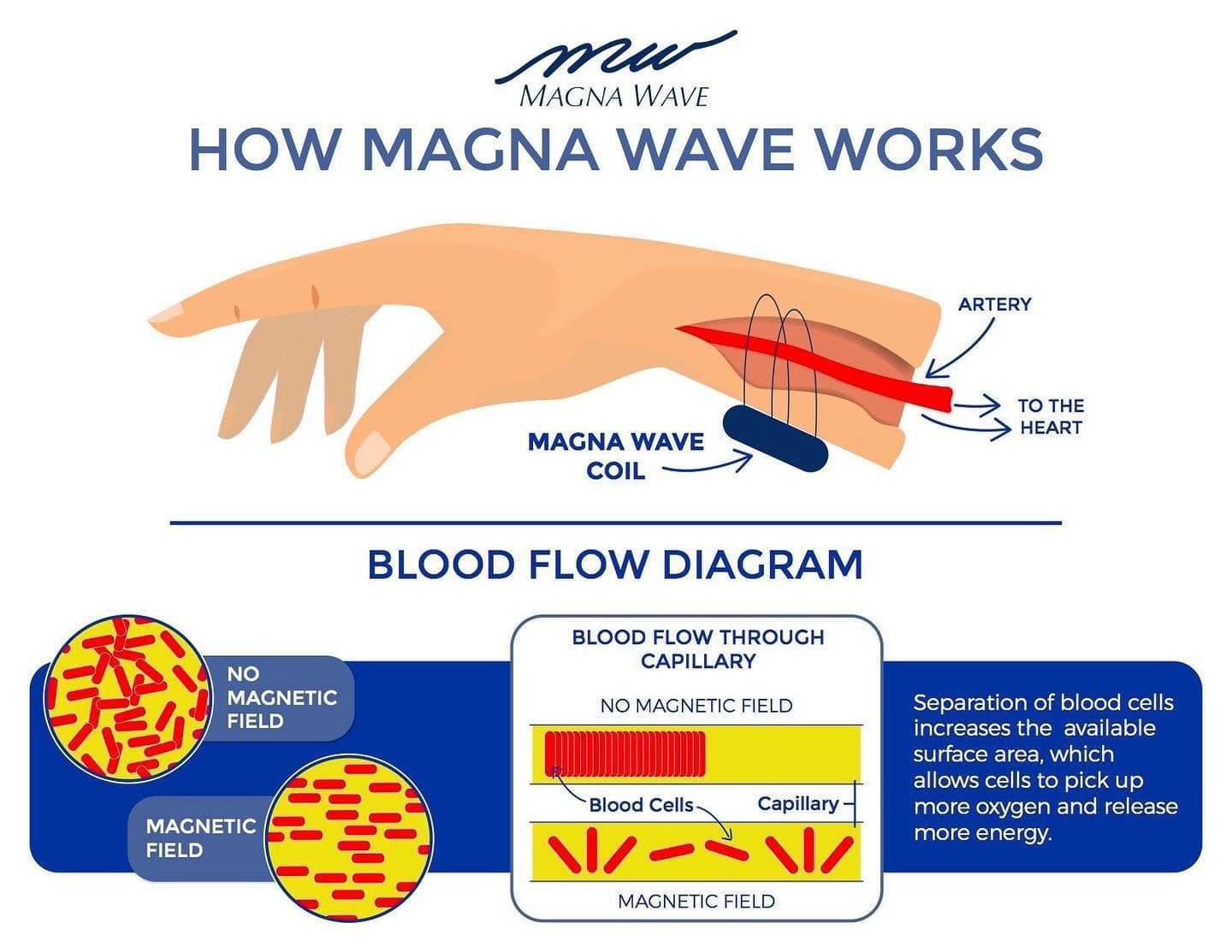 magnetic blood flow.jpg