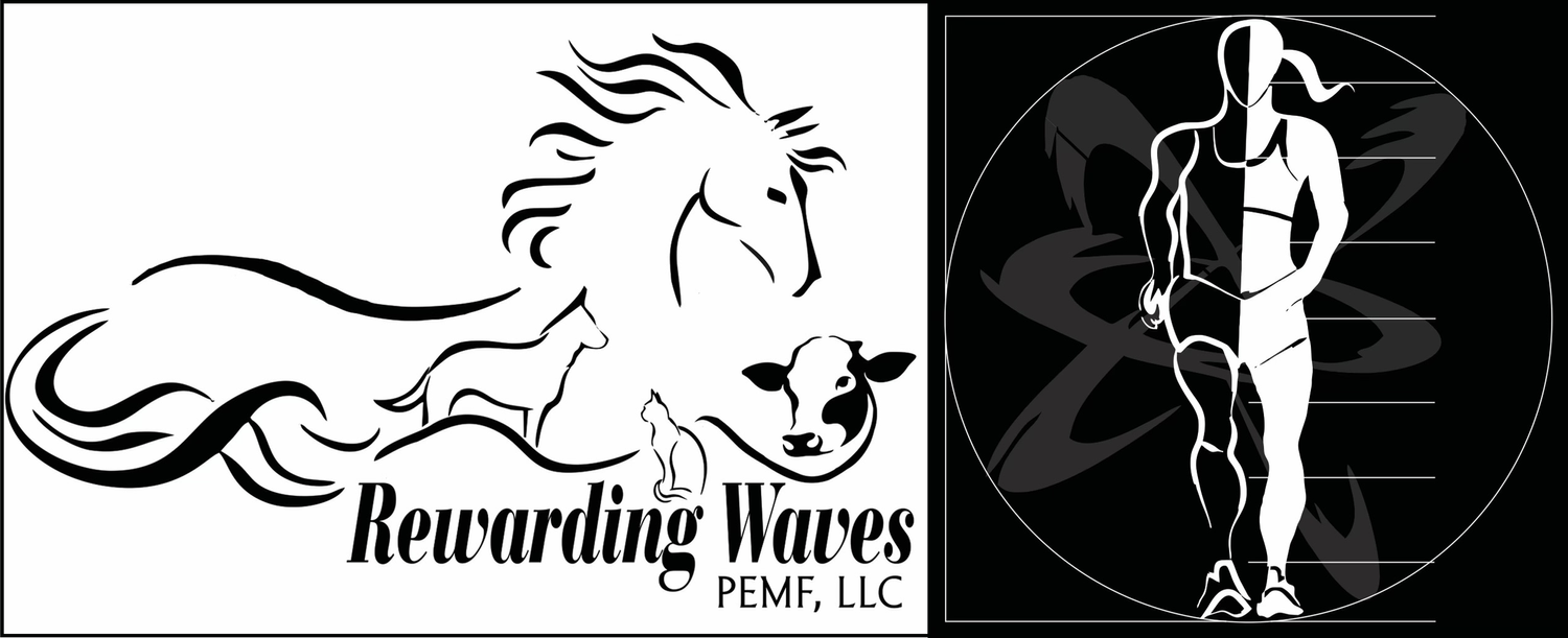 Rewarding Waves PEMF