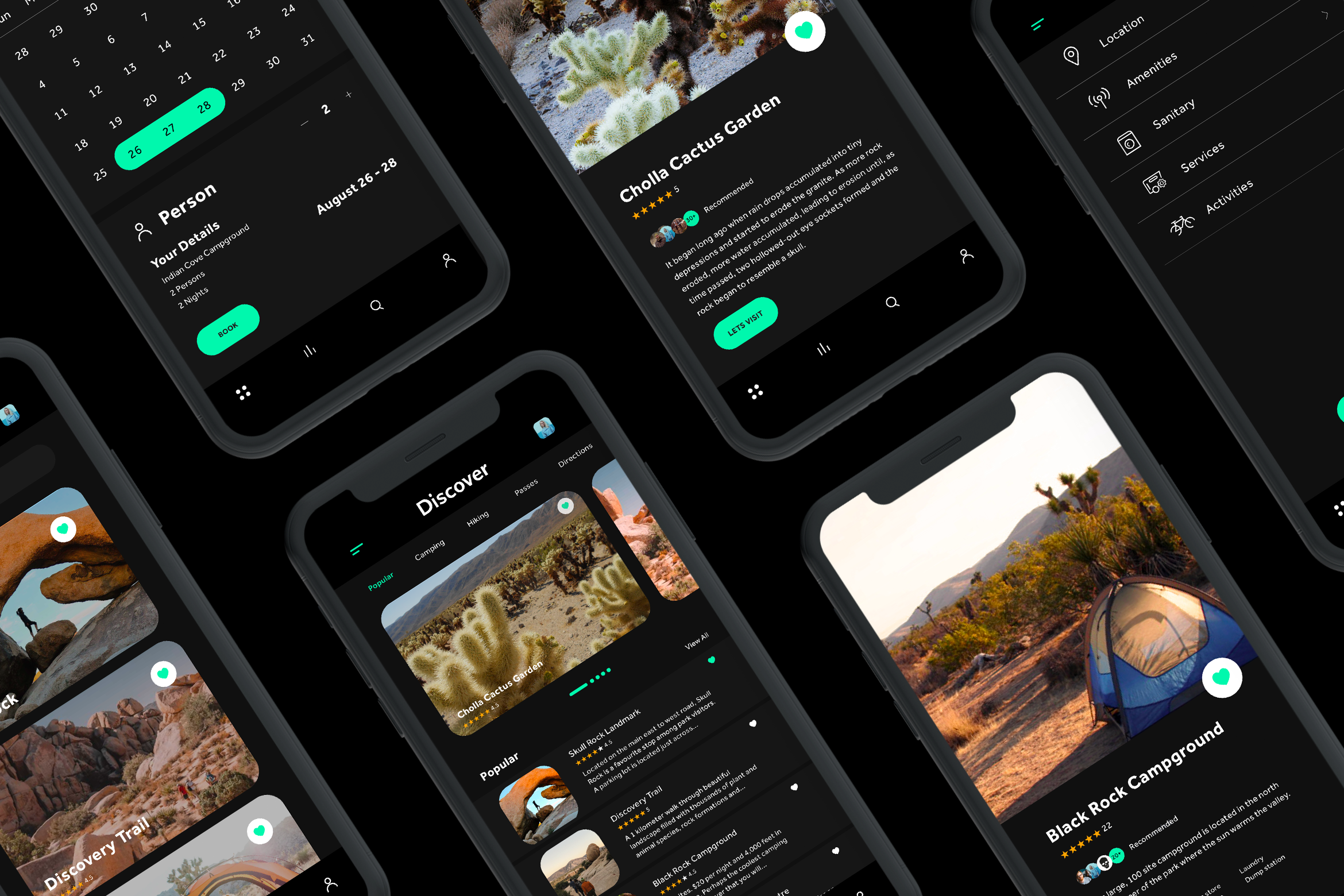 Meagan Joshua Tree 1.png