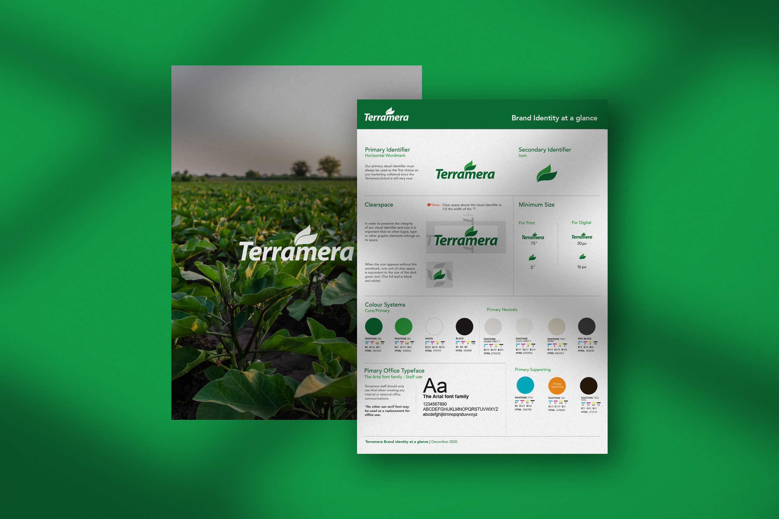 brand guide mock.png