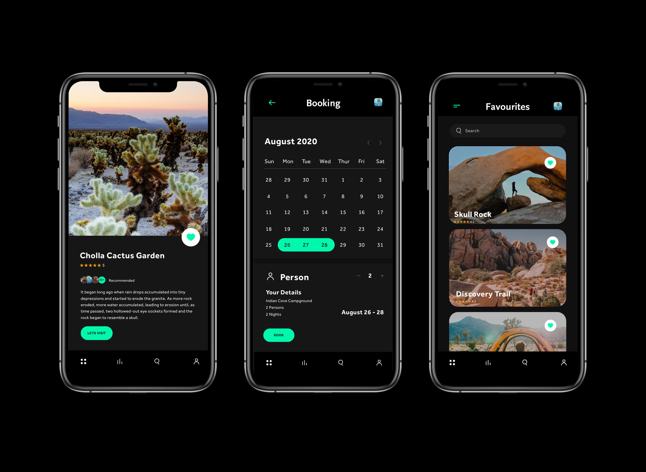Meagan Joshua Tree 3.png