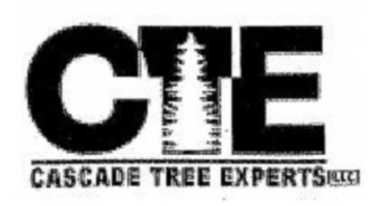 CTE.png