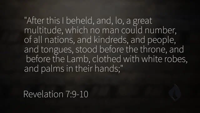 Lion, Tiger, &amp; Bear!