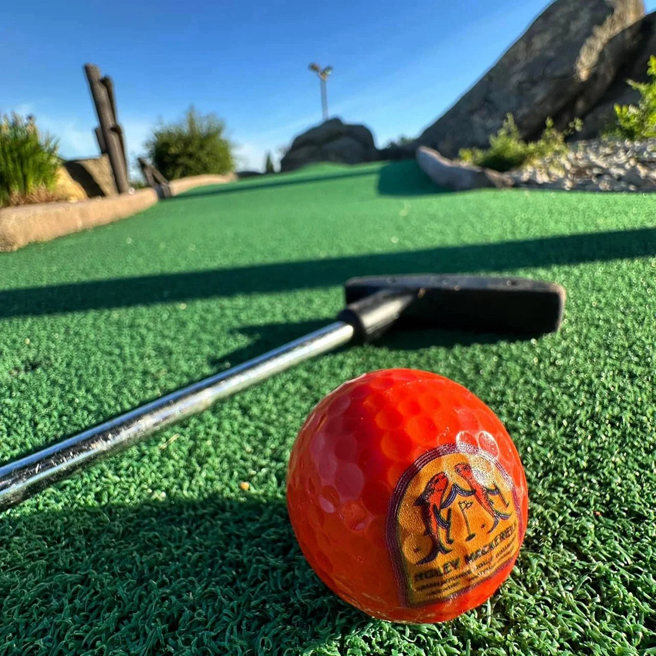 Close-up of a golf ball and a golf club on a putting green at a miniature golf course, with rocks and a clear blue sky in the background.