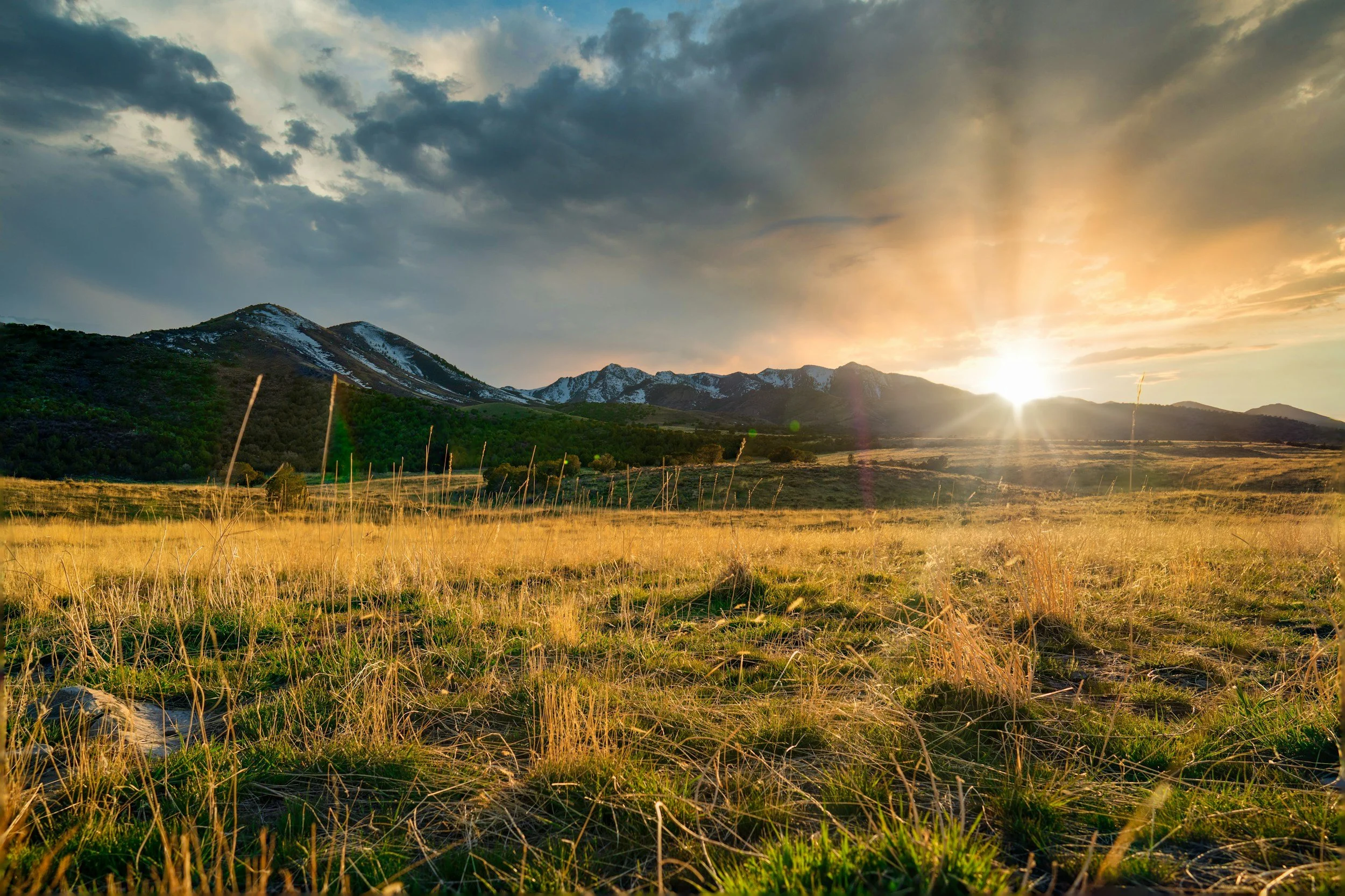 New Year, New Nature and Health Aspirations