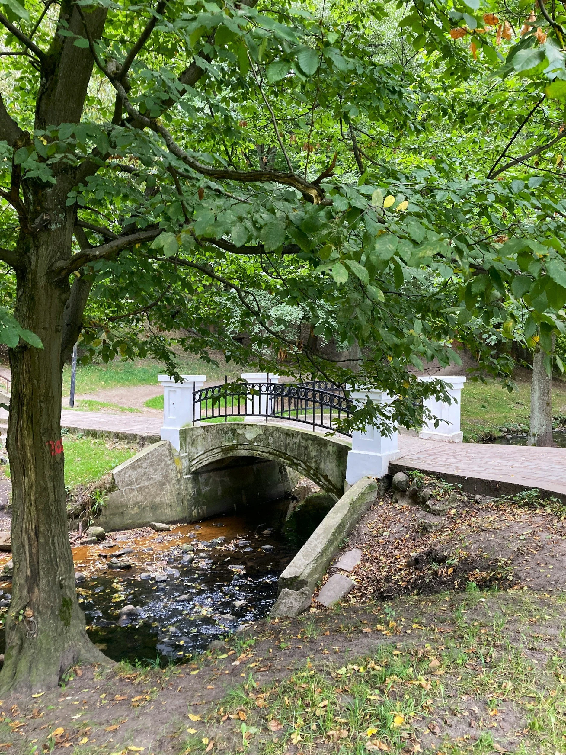 The Power of Small Green Spaces: Why Pocket Parks and Street Trees Matter