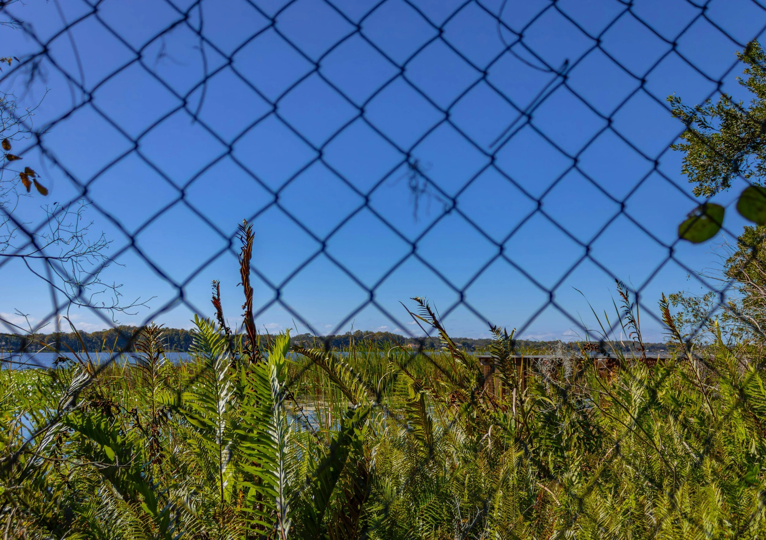Creating Equitable Access to Nature