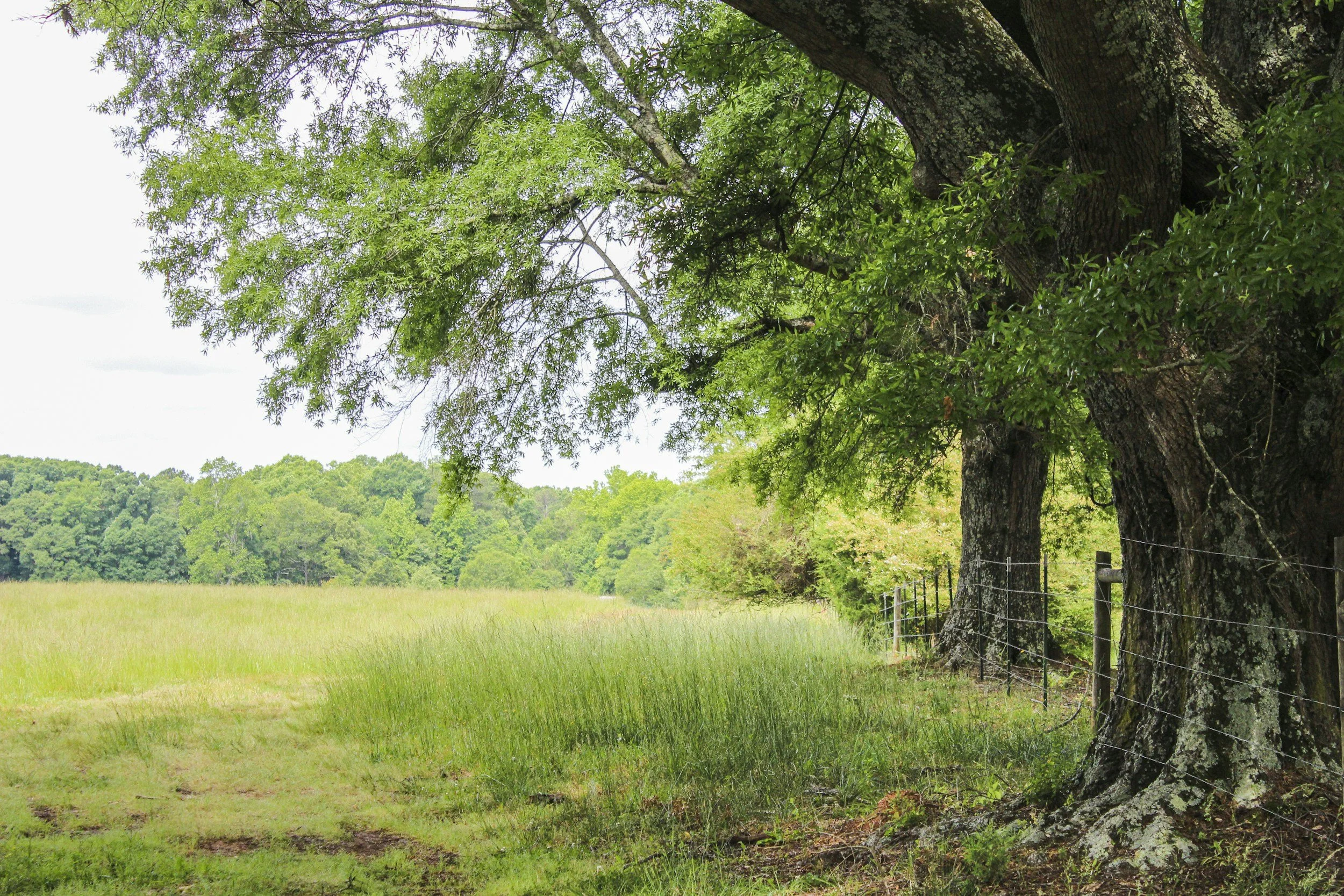 Chasing 90s Summers: Why Nostalgia Is Calling Us Outdoors