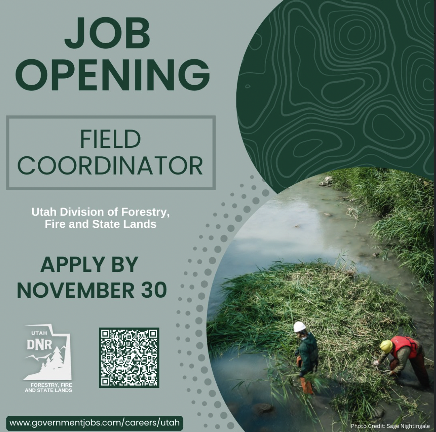 Screen Shot 2025-11-13 at 2.23.24 PM.png