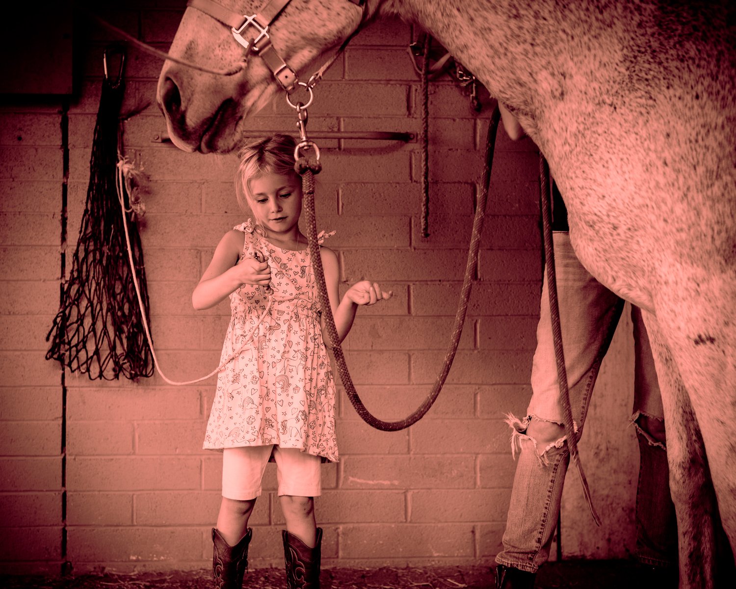little-girl-and-horse-pink.jpg