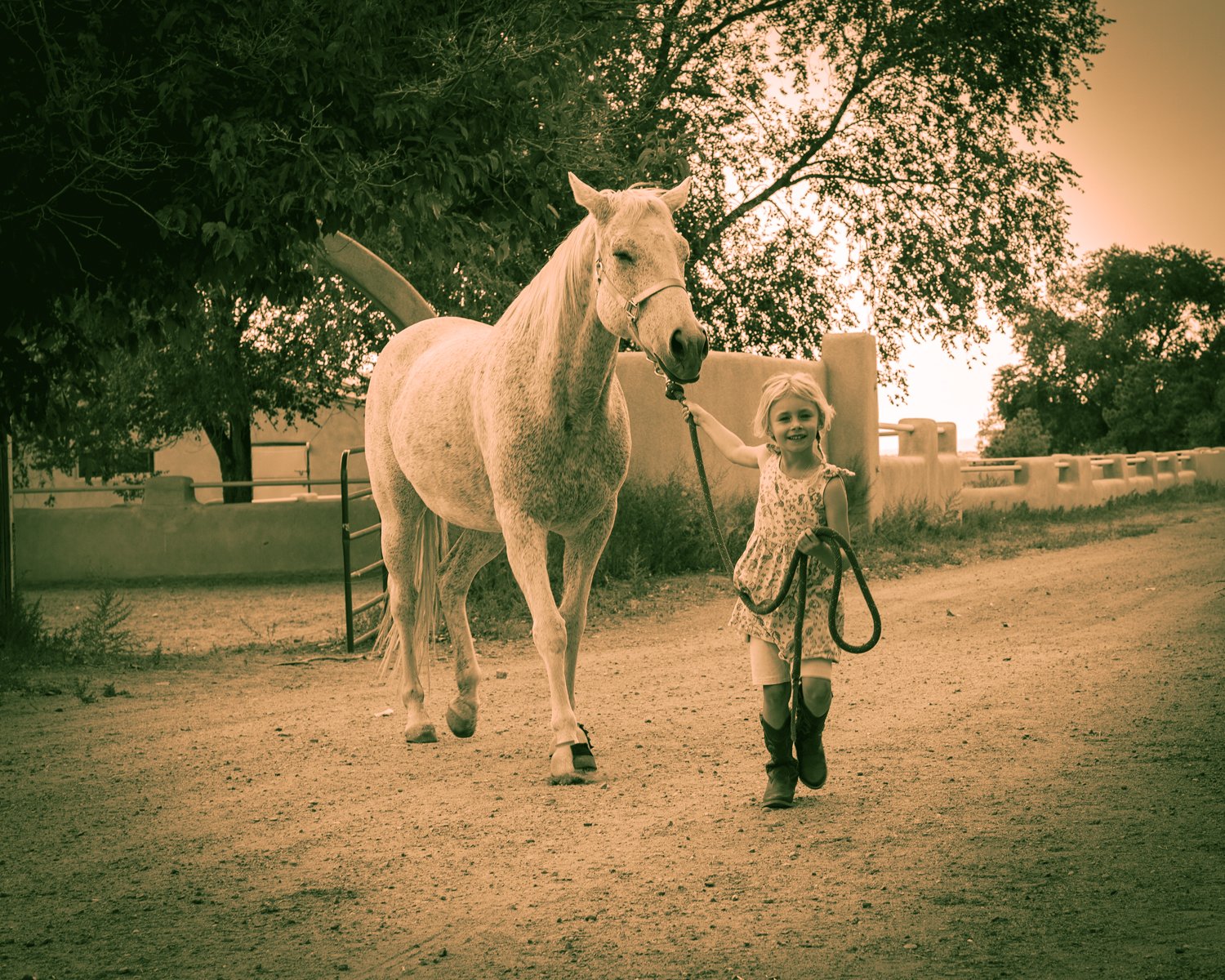 little-girl-leading-horse.jpg