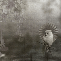 Original film collage, dream sequence by California artist Krislyn Komarov, O.M. Studio, Los Angeles.