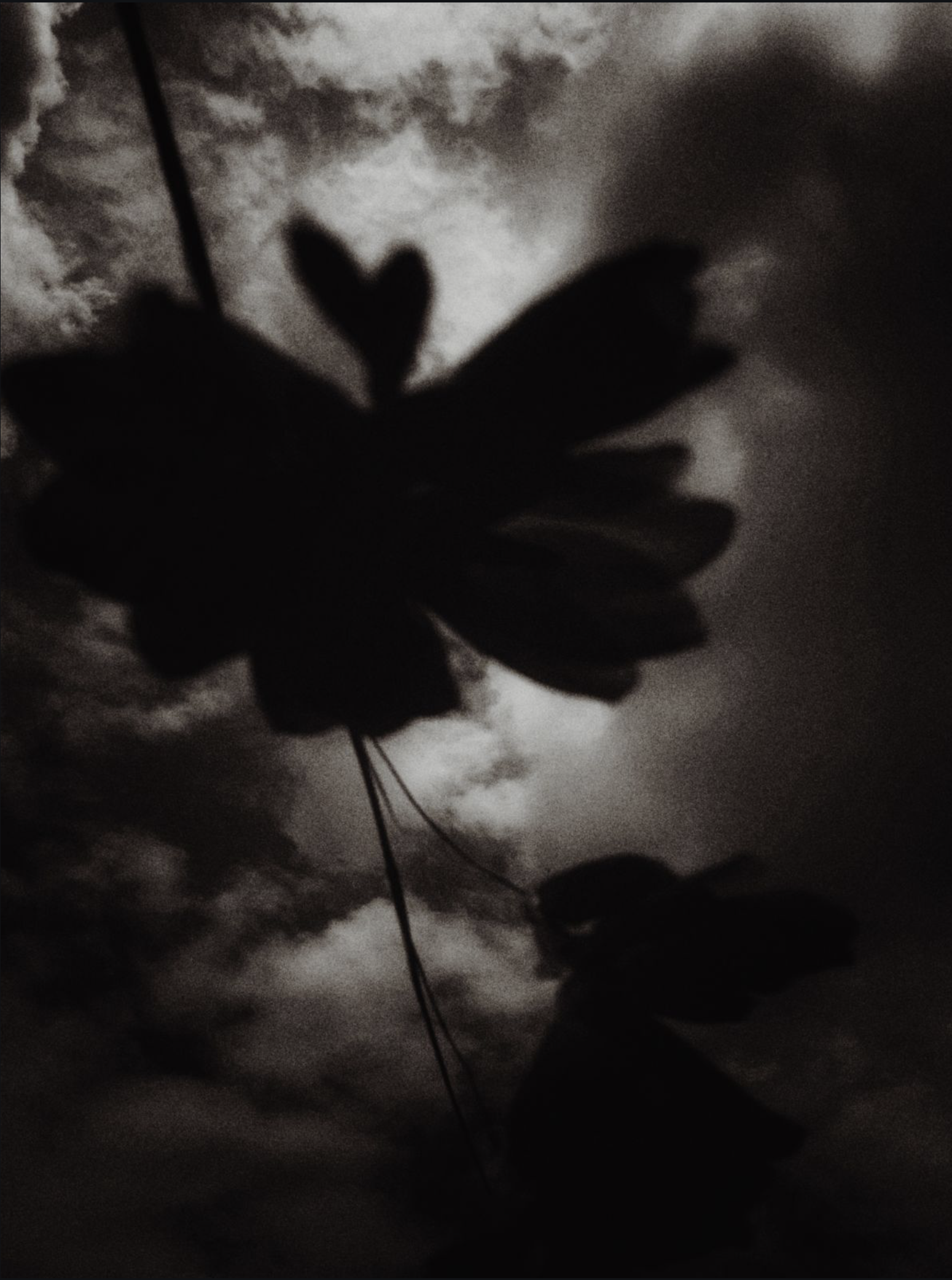 Pigment-print-krislyn-komarov-los-angeles-om-studio