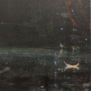 Original film collage, dream sequence by California artist Krislyn Komarov, O.M. Studio, Los Angeles.