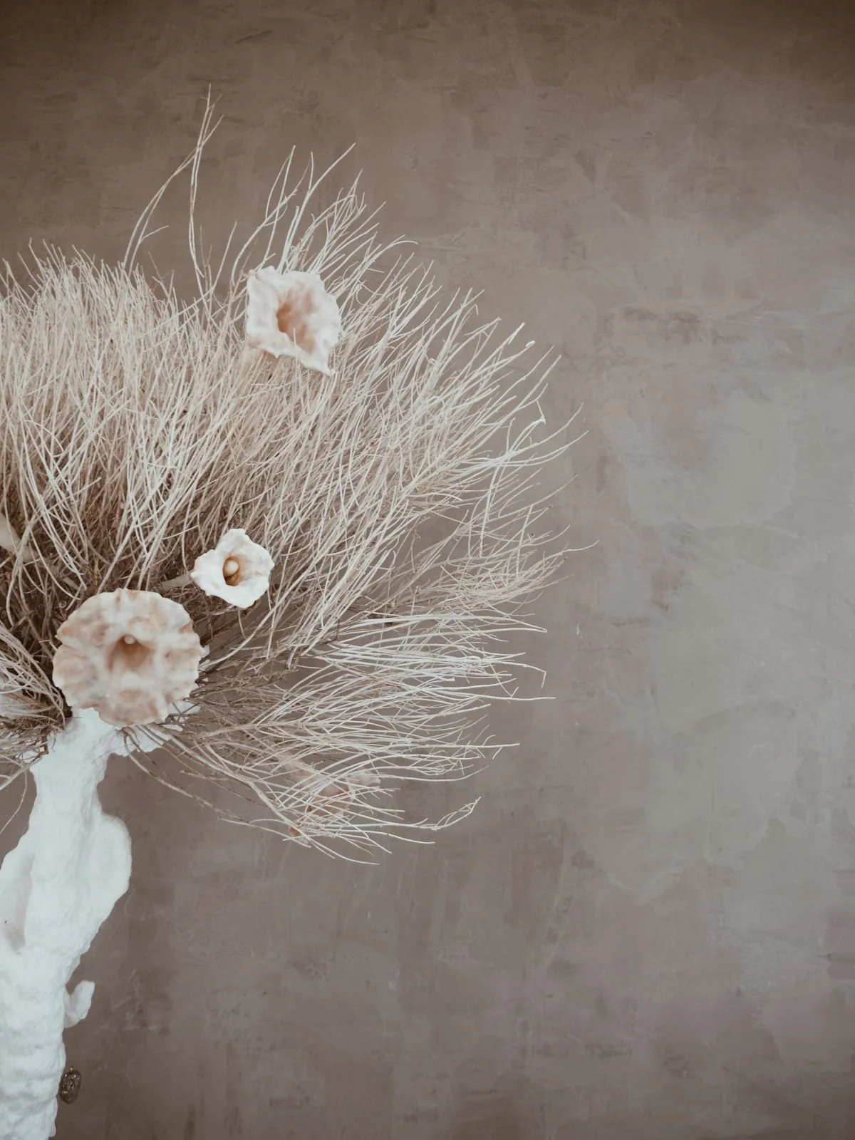 13-dried-floral-design-waxflowers-kept-la-3.jpg