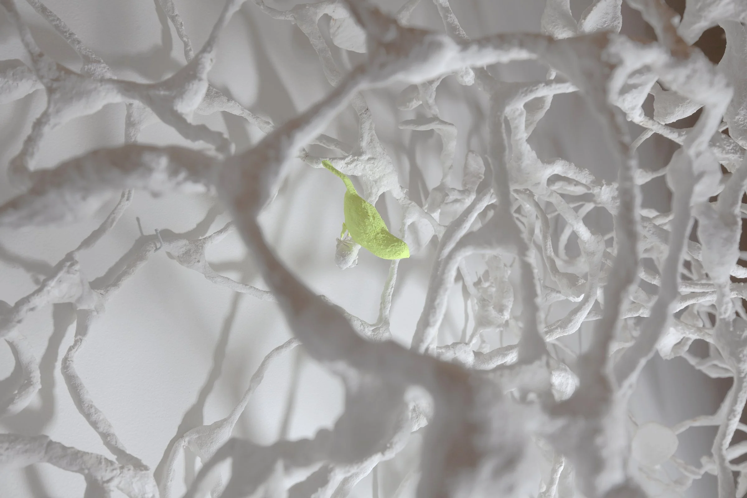 Becoming. Wall sculpture by artists Krislyn Komarov and James Benn. O.M. Studio, Los Angeles