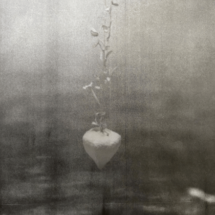 Hanging sculpture by artists Krislyn Komarov and James Benn, O.M. Studio, Los Angeles