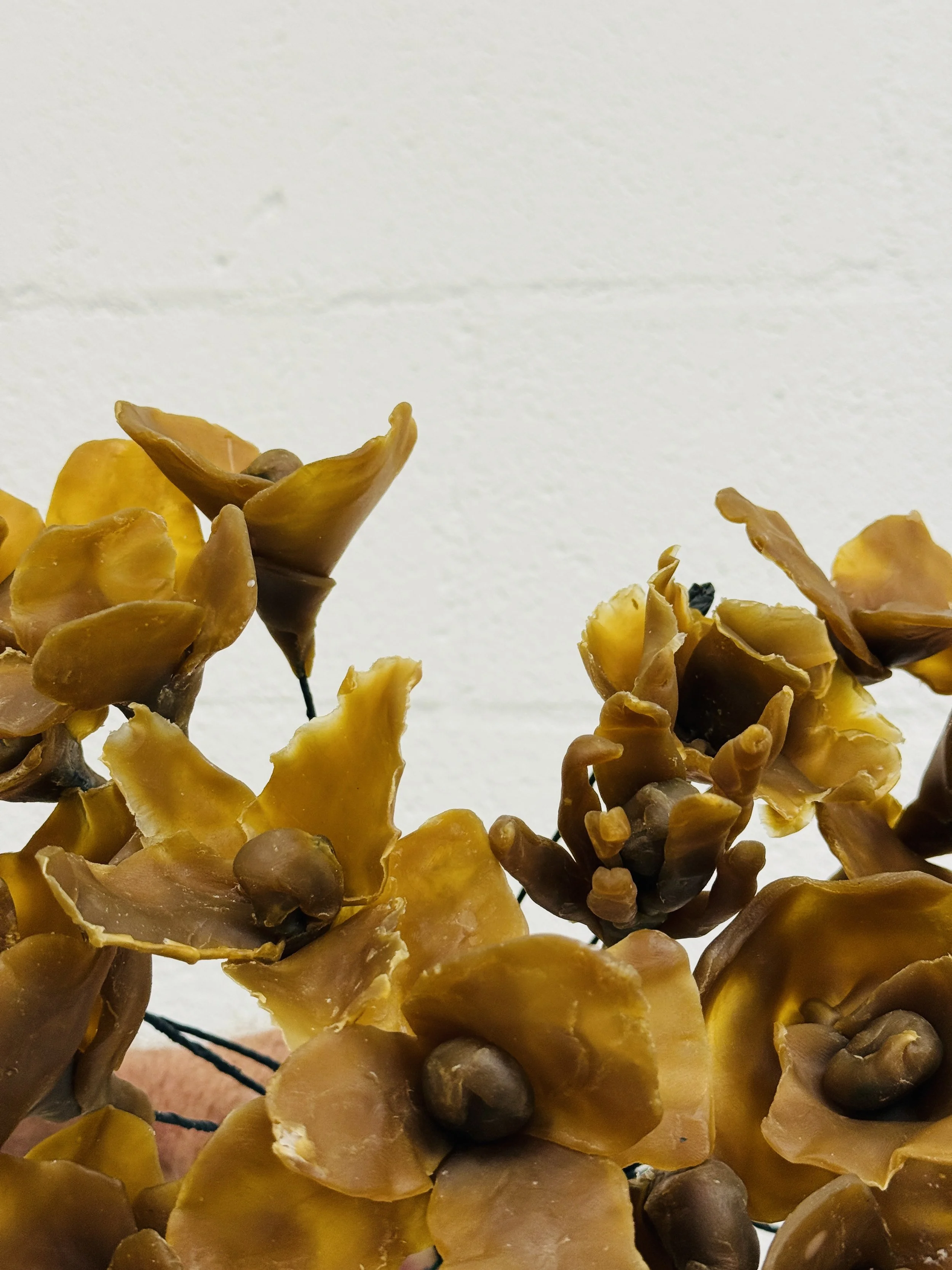 kept-la-waxed-florals.jpeg
