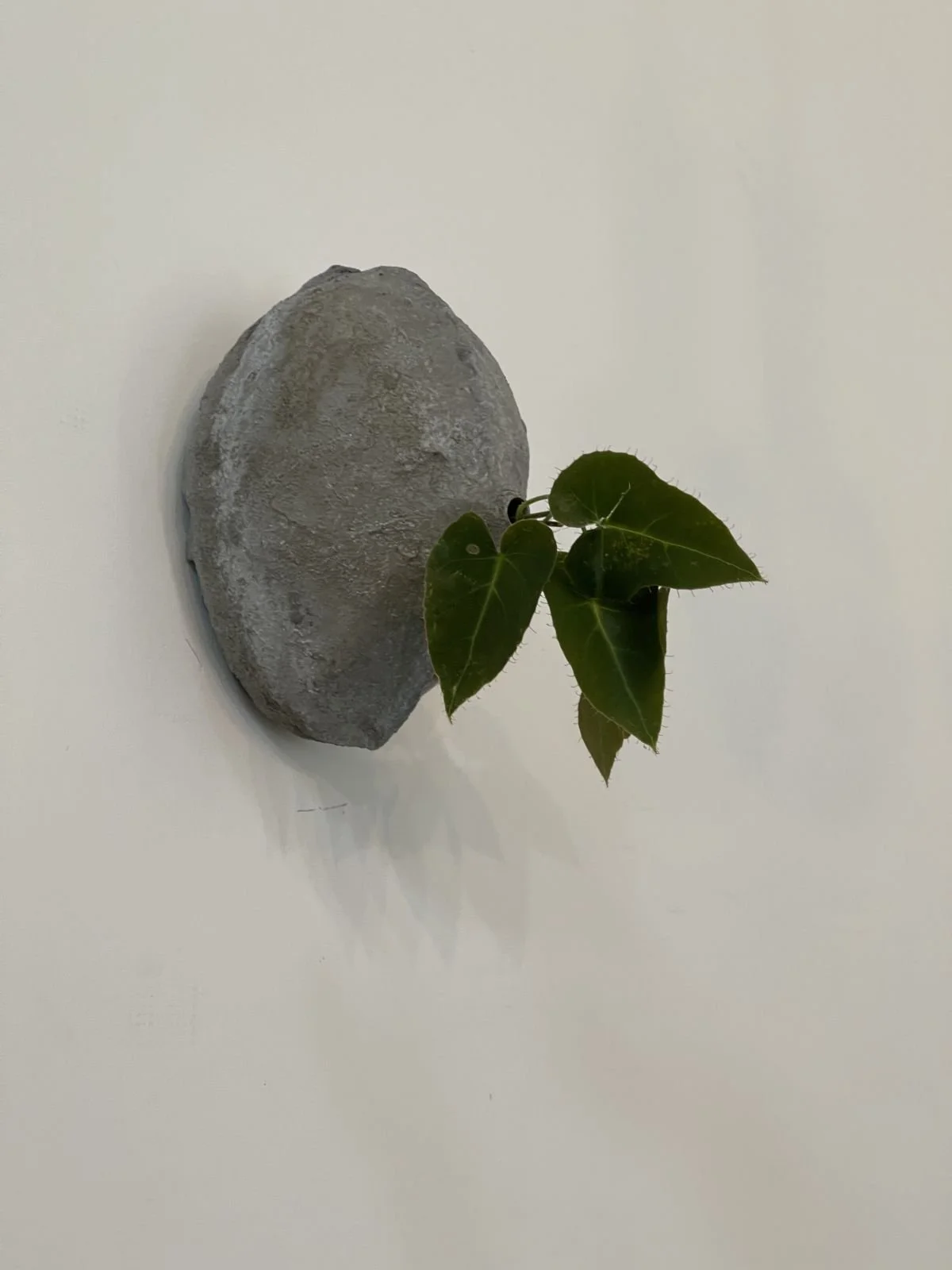 concrete-sculpture-los-angeles-om-studio.jpeg