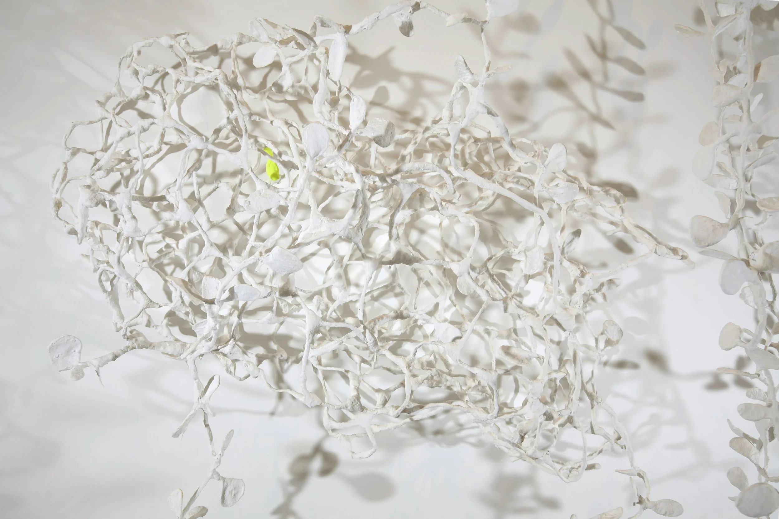 Becoming. Wall sculpture by artists Krislyn Komarov and James Benn. O.M. Studio, Los Angeles