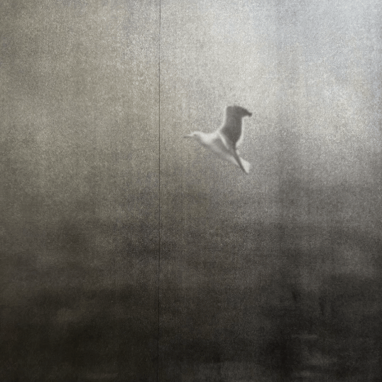 Original film collage, dream sequence by California artist Krislyn Komarov, O.M. Studio, Los Angeles.