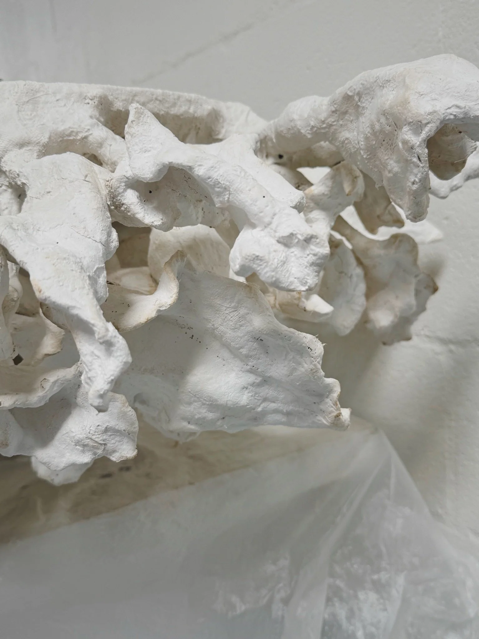 One of a kind, botanical wall art by artists Krislyn Komarov and James Benn. O.M. Studio, Los Angeles