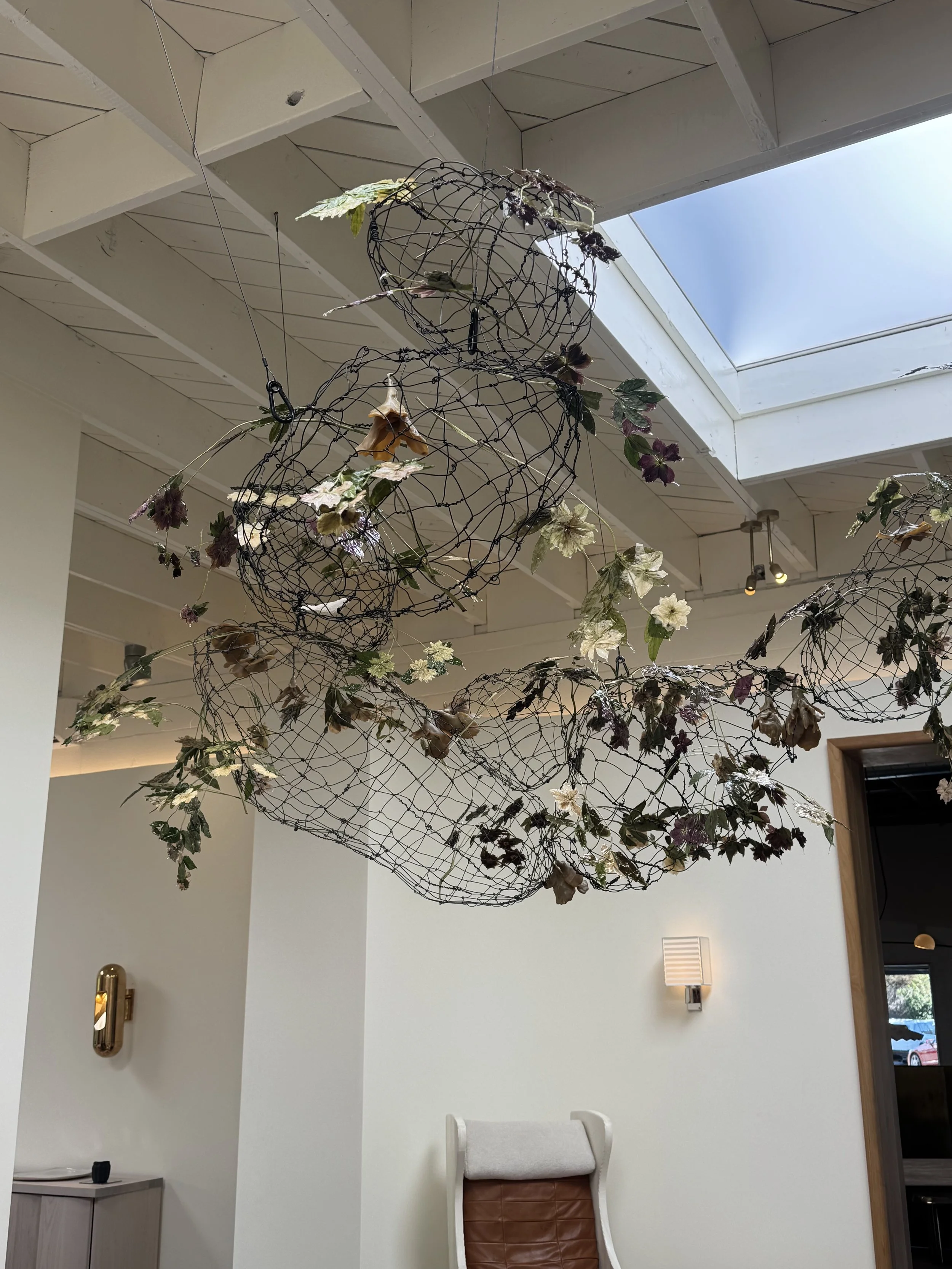 kept-la-preserved-floral-suspended-pod.jpeg
