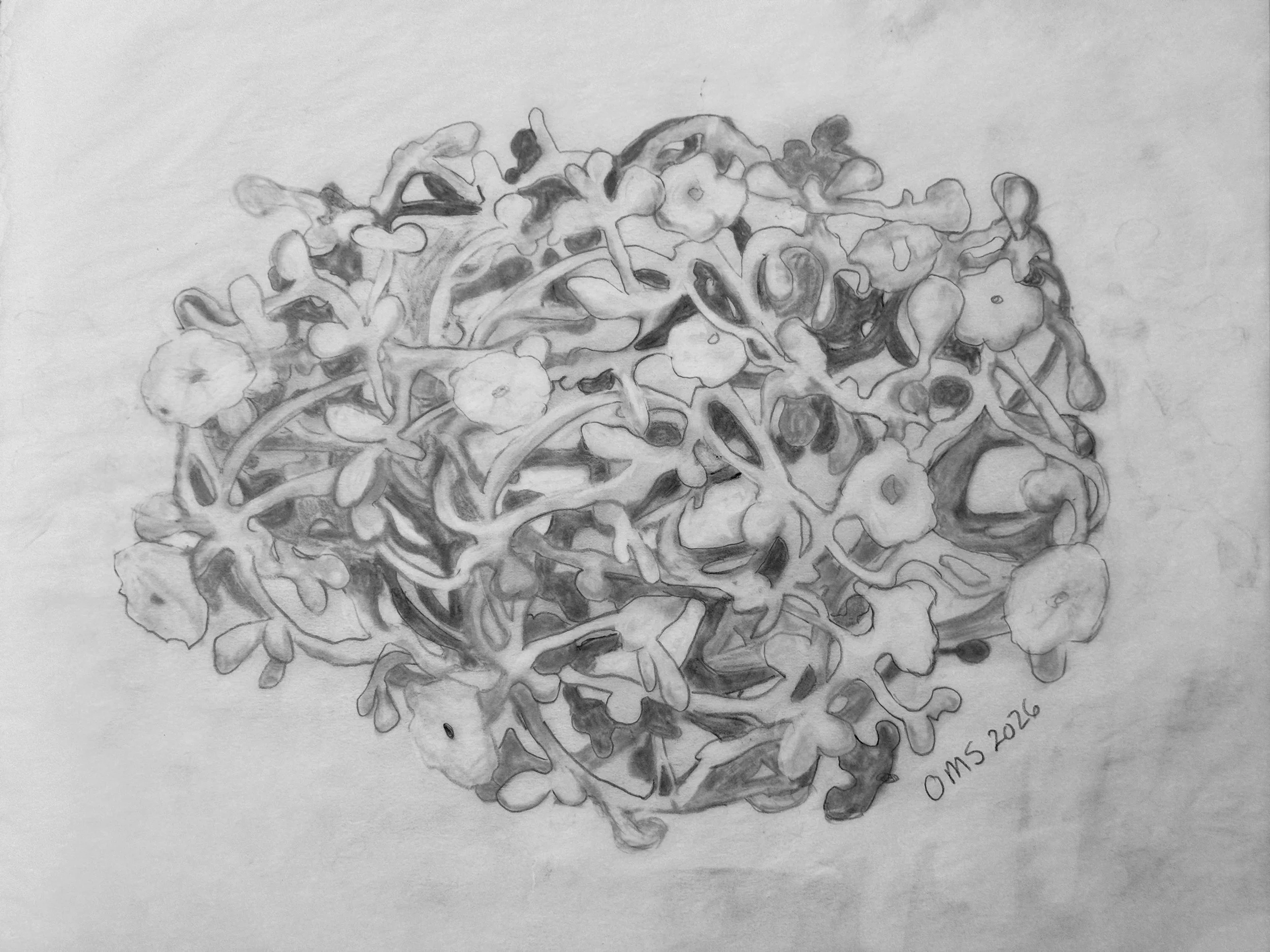 OM-STUDIO-LA-PENCIL-SKETCH-BRUGMANSIA-CHANDELIER-COMISSION.JPG