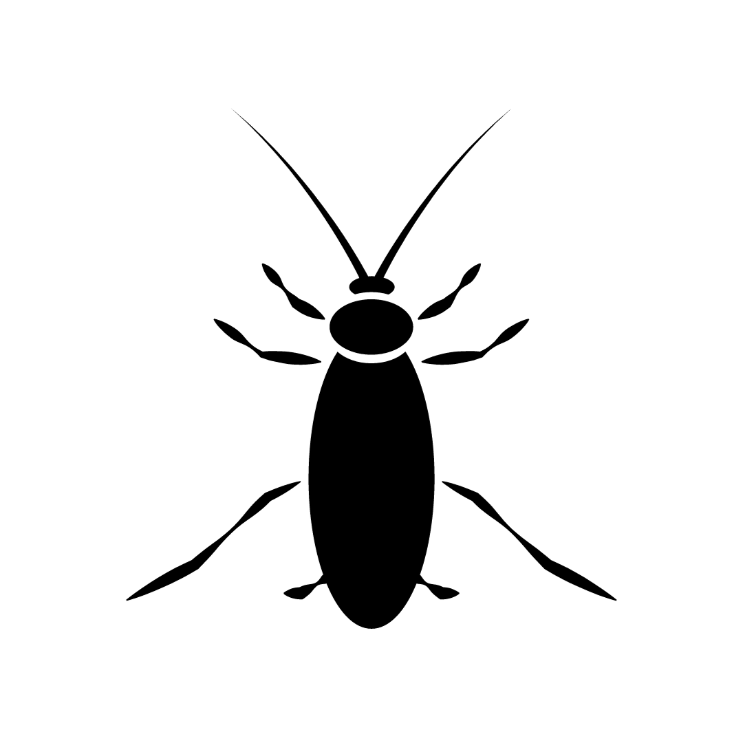 Top Quality Exterminating