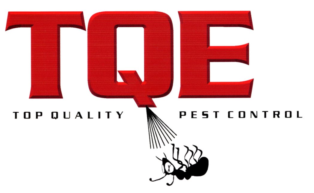 Top Quality Exterminating