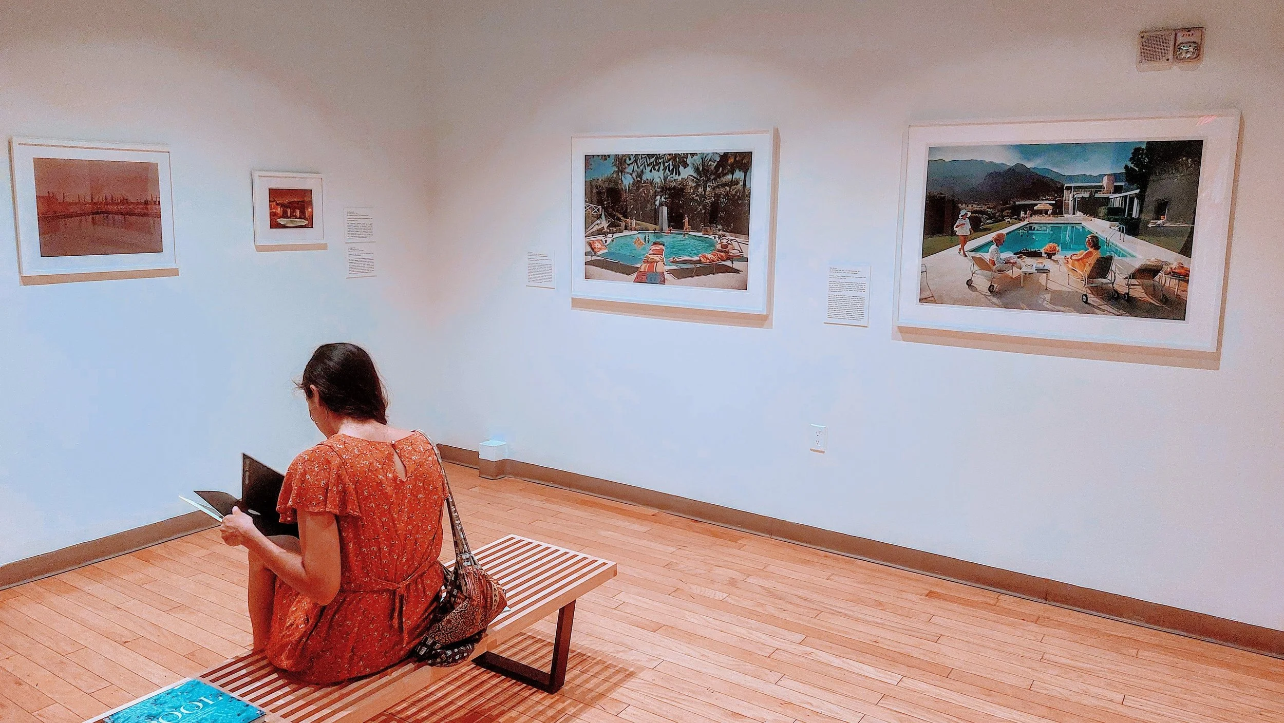 Celebrating Pool Party: The Pool in American Art—A Timely and Reflective Exhibition at the Mennello Museum of American Art