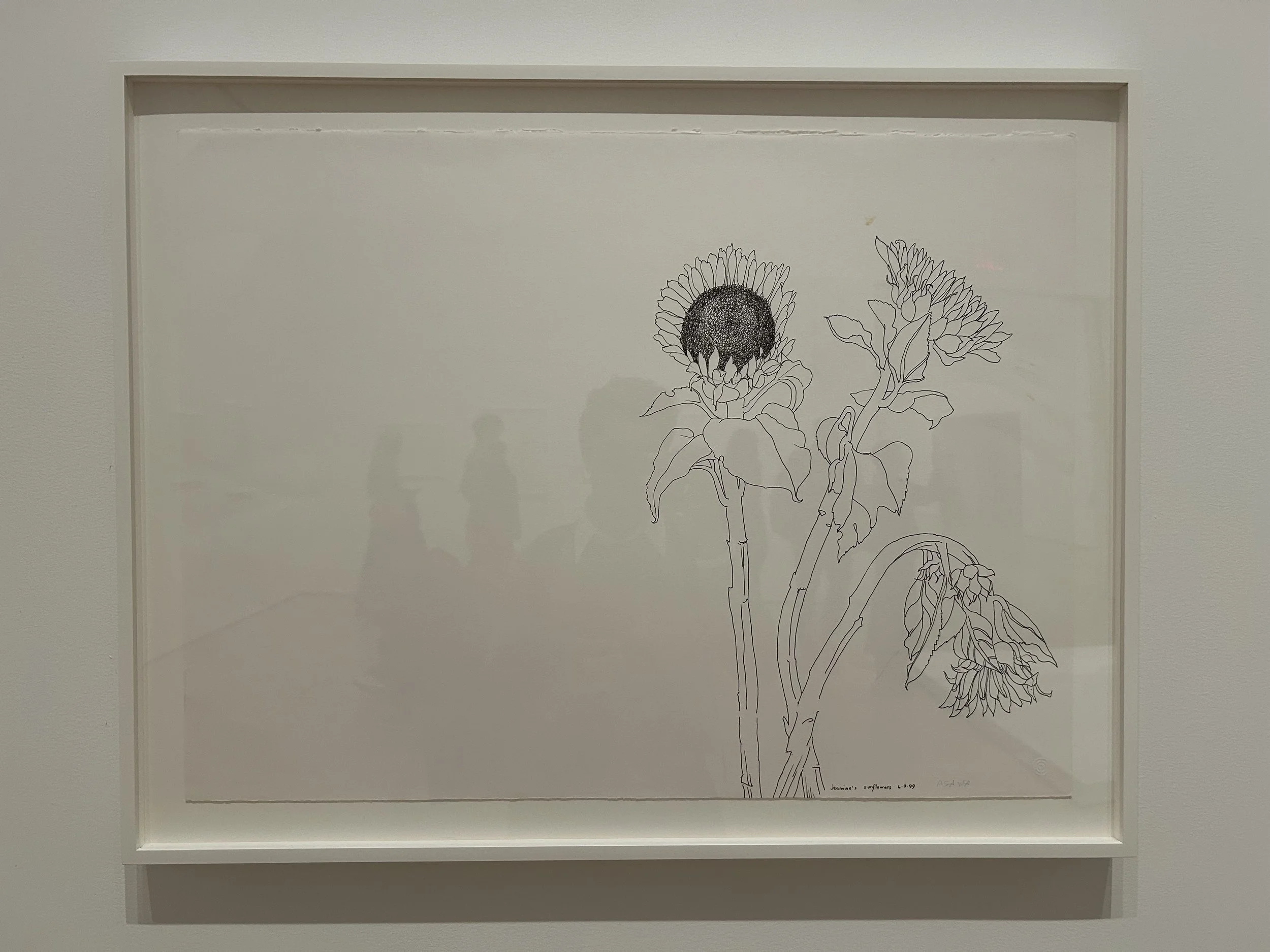  Jeanine's Sunflowers (PF.882) 1999  Ink on paper   Private collection 