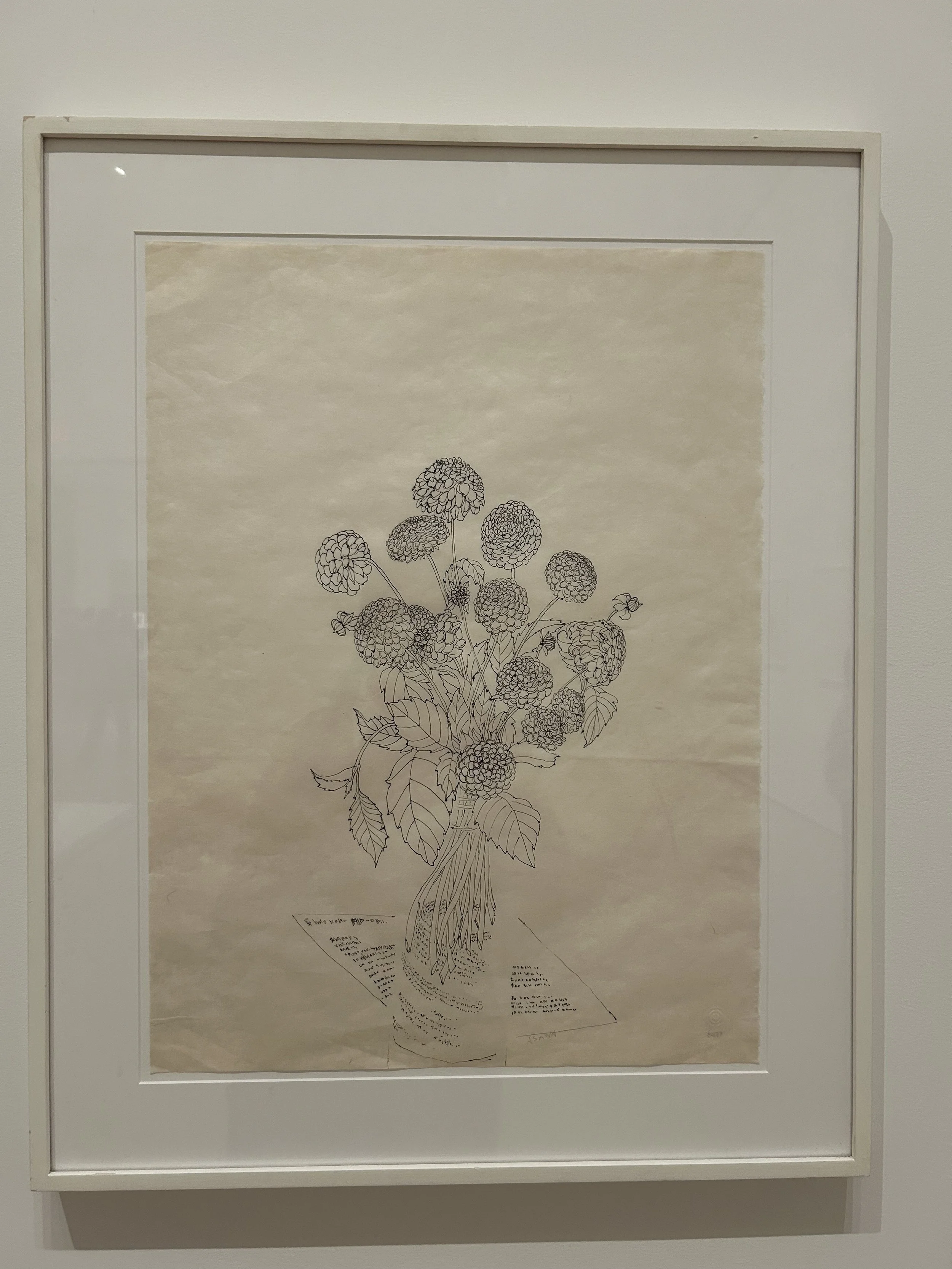  Untitled (PF.103, Dahlias in Vase with Letter)  early-mid 1990s   Ink on Paper 