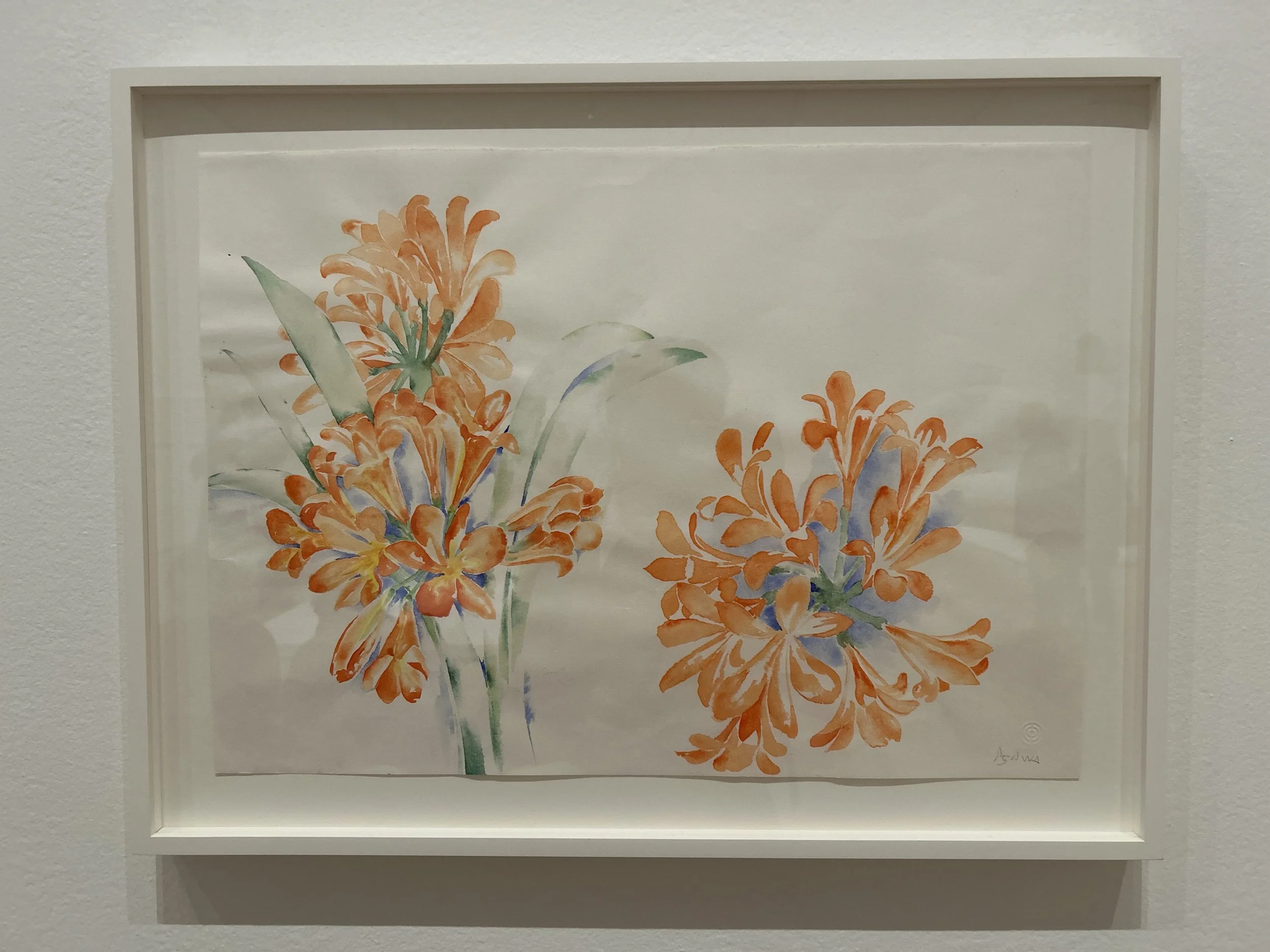  Untitled (WC.095, Clivia) mid-late 1980s   Watercolor on paper 