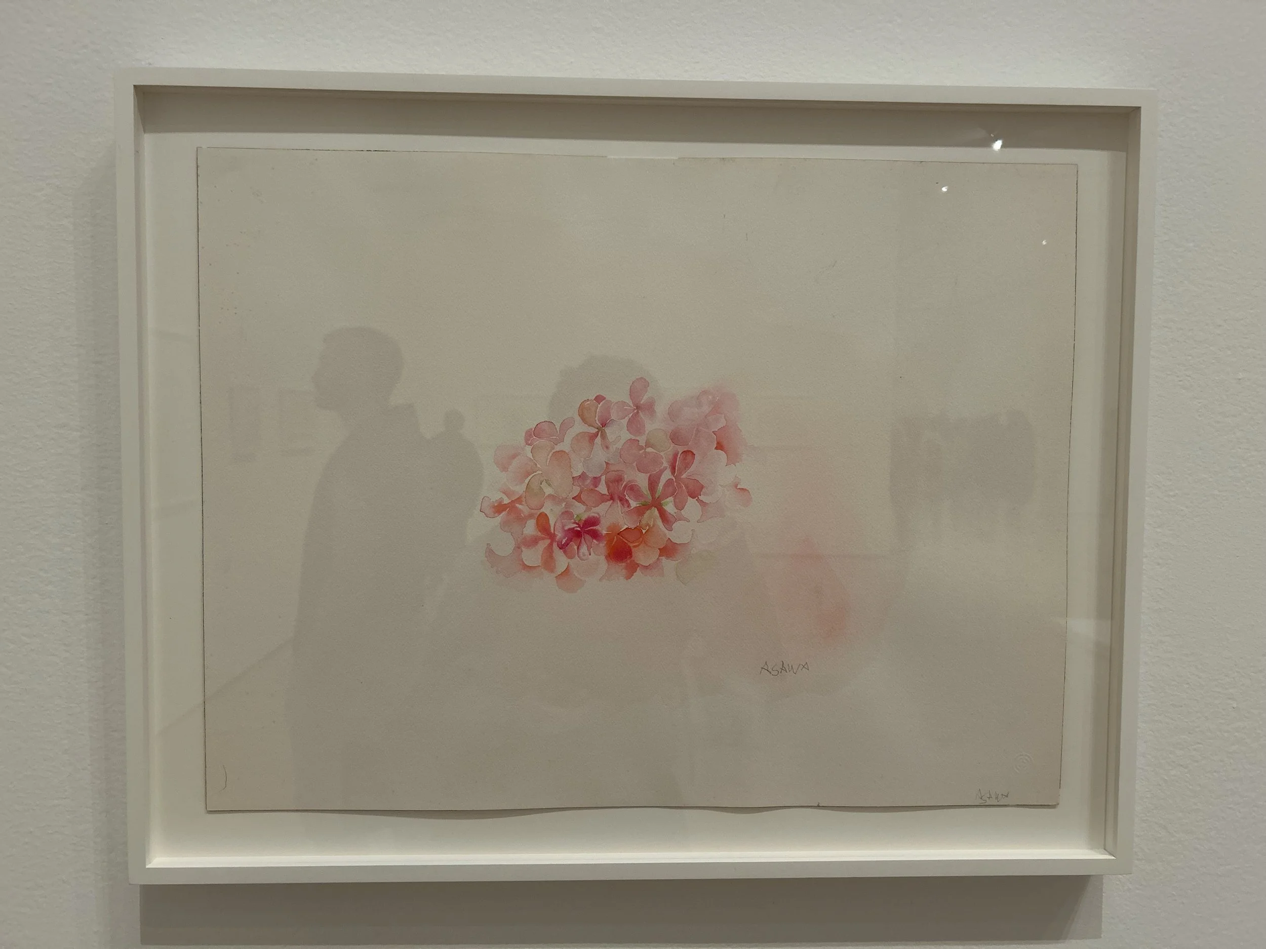  Untitled (PF.903, Chrysanthemums)   mid-1980s - mid-1990s  Ink on paper  Private Collection 