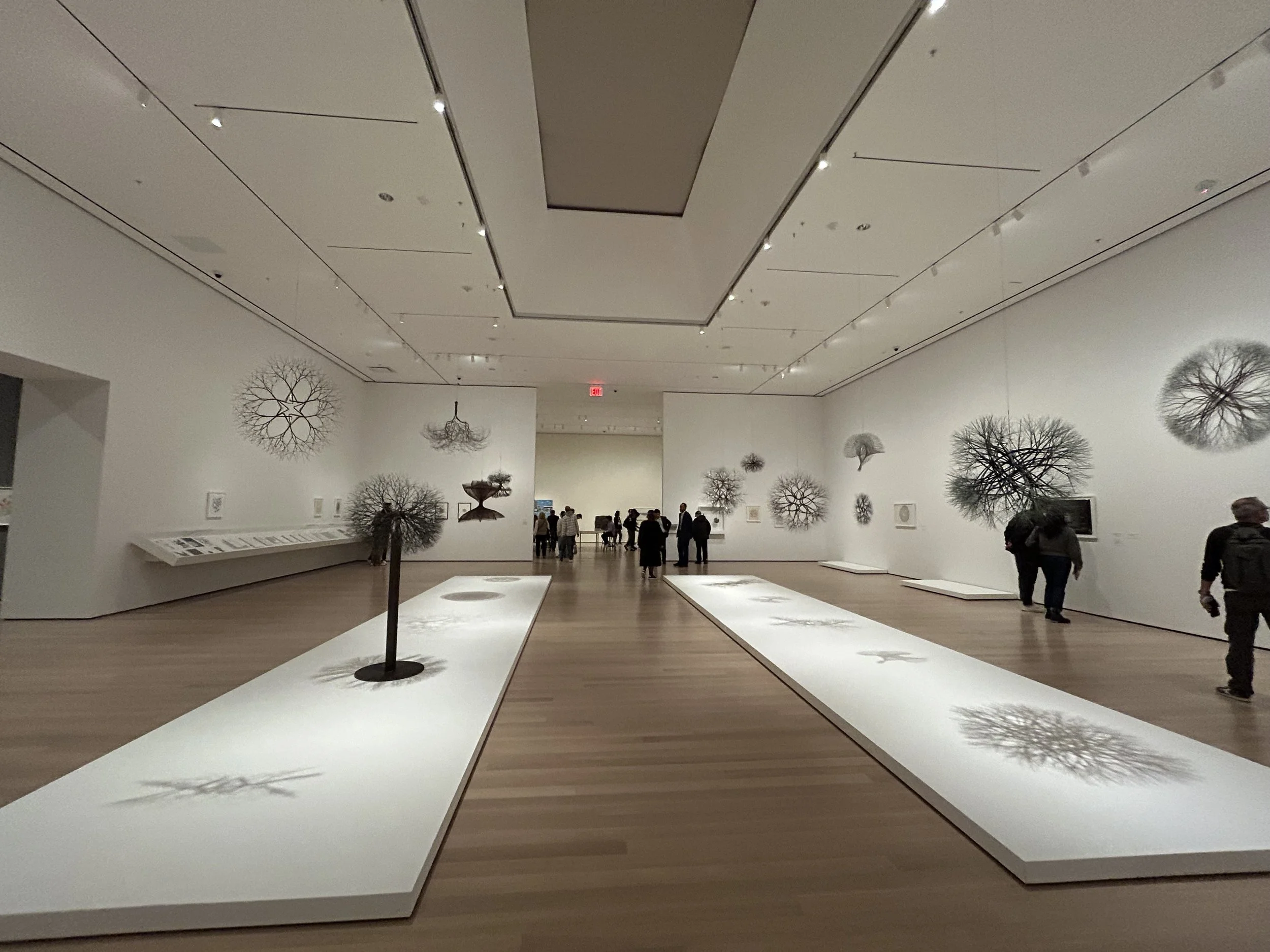  Installation View: Ruth Asawa: A Retrospective, The Museum of Modern Art 
