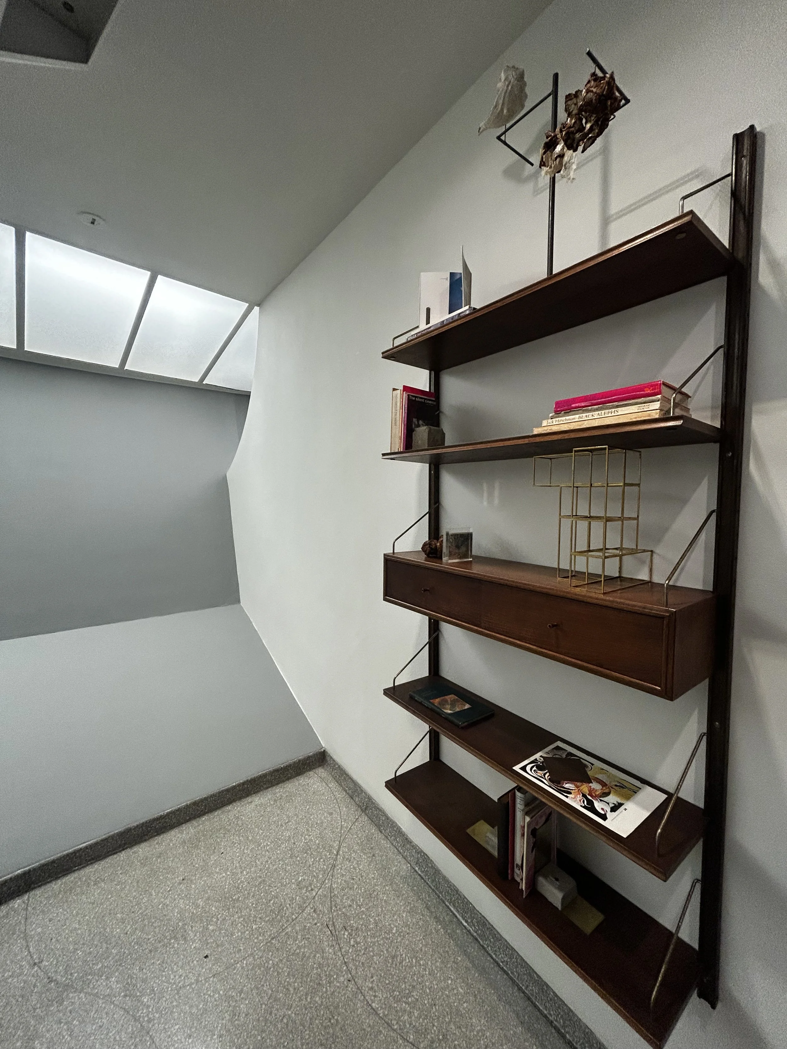  Vague Pure Affection  2012  Wood-and-metal shelves, books, periodicals, steel, brass, seashell, found metal, concrete, acrylic, and paper  Solomon R. Guggenheim Museum, New York, Purchased with funds contributed by the International Director's Counc