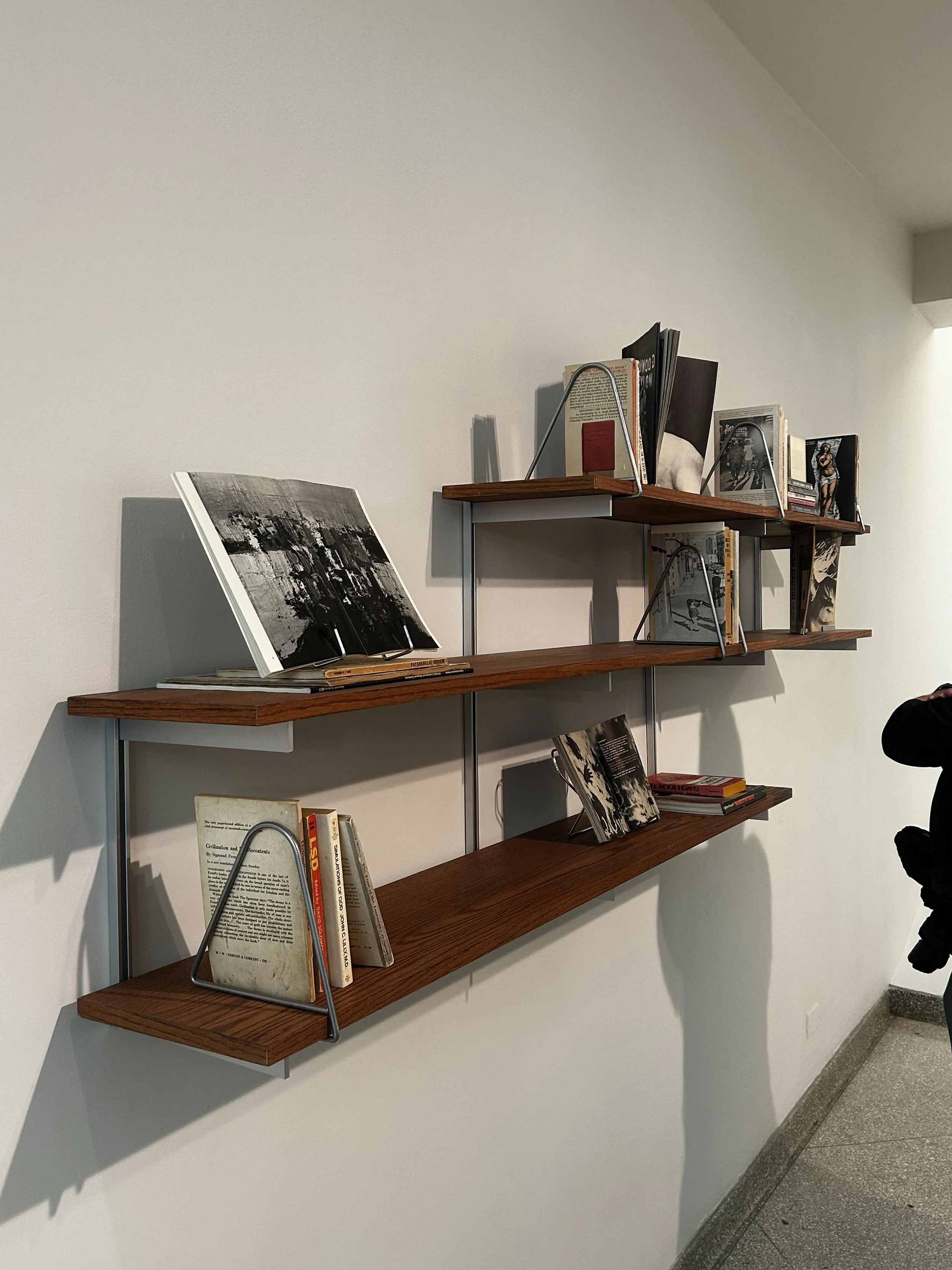  Adventures in Poetry  2002  Wood-and-metal shelves, books, periodicals, acrylic cube, and paper  Whitney Museum of American Art, New York; Promised gift of David and Monica Zwirner 
