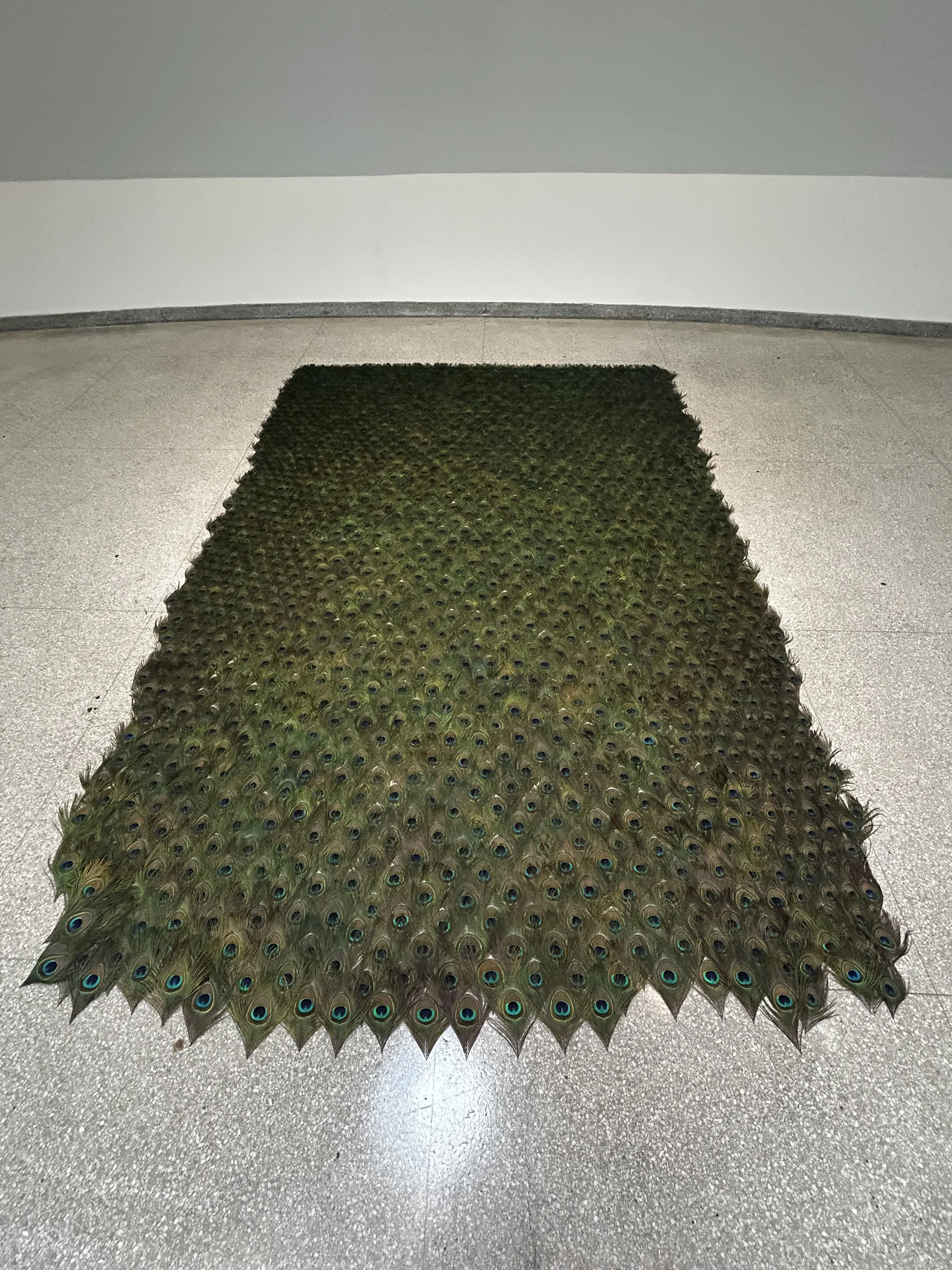  Untitled (The Middle Pillar)  2007  Peacock feathers  Ovitz Family Collection, Los Angeles  