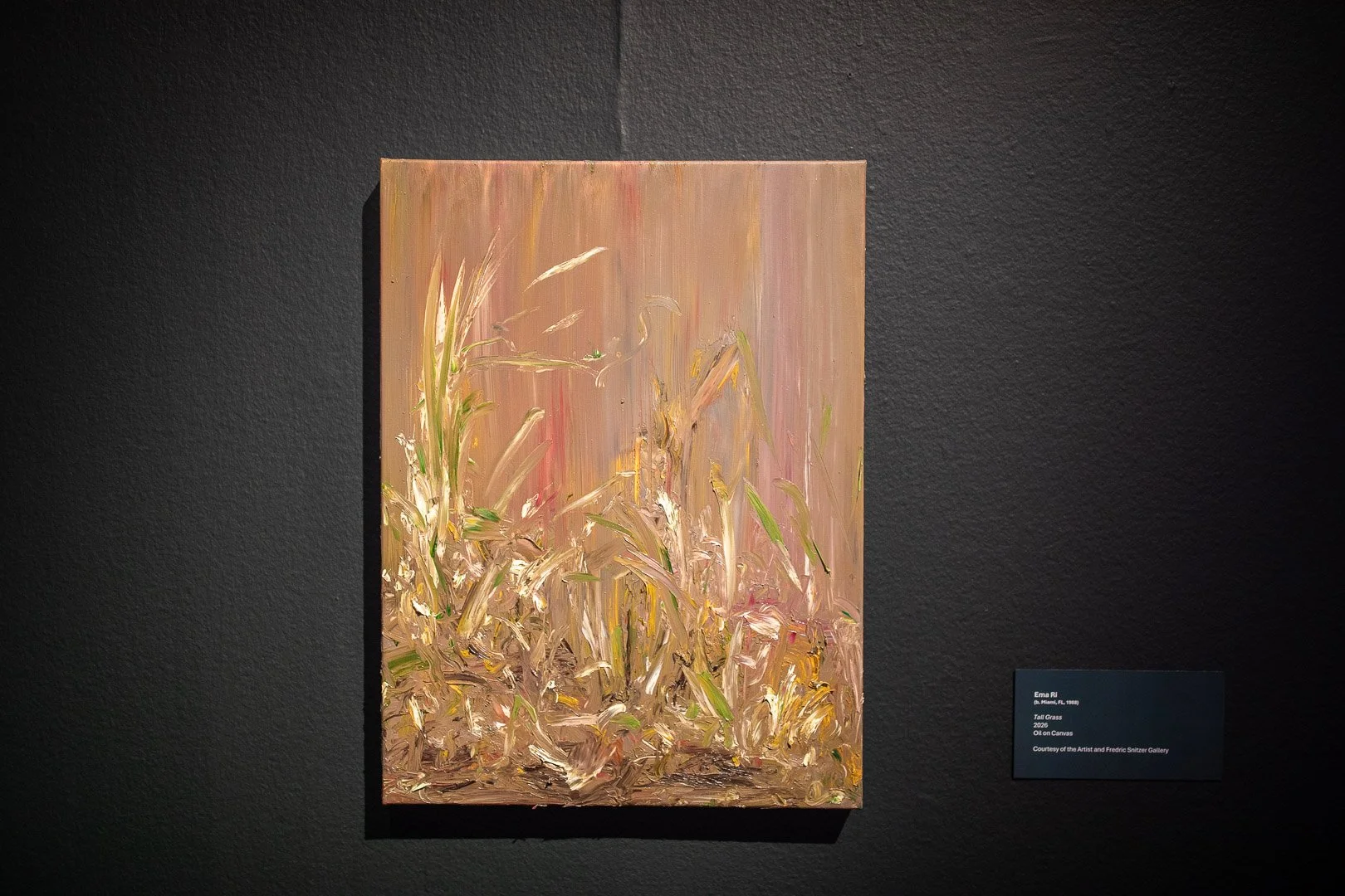  Ema Ri  (b. Miami, FL, 1988)  Tall Grass  2026  Oil on Canvas  24 x 17 inches  Courtesy of the Artist and Fredric Snitzer Gallery  Photography by Laura Serdiuk, Women in the Arts, Inc. 