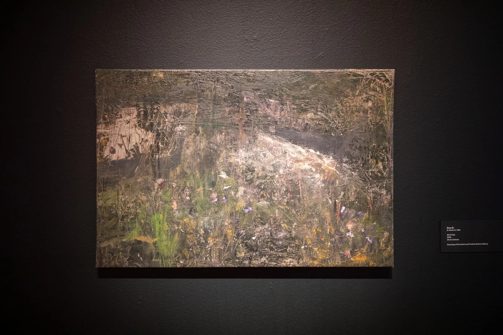  Ema Ri  (b. Miami, FL, 1988)  Skull Cap  2026  Oil on Canvas  24 x 36 inches  Courtesy of the Artist and Fredric Snitzer Gallery  Photography by Laura Serdiuk, Women in the Arts, Inc. 