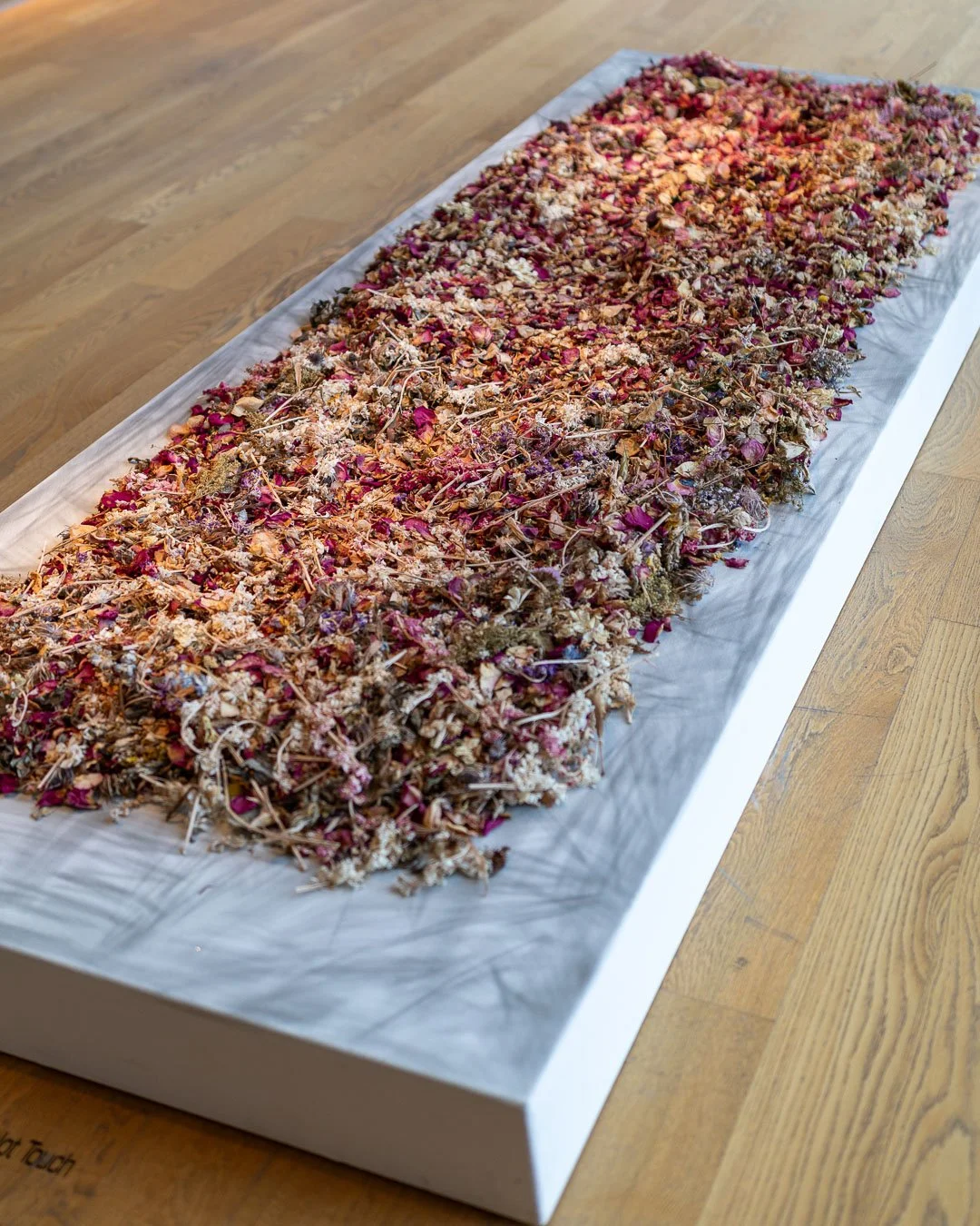  Ema Ri  (b. Miami, FL, 1988)  Keep Your Promise  2026  Brass Brush Drawing on Industrial Paint Under Compressed Dried Roses,  Carnations, Bougainvillea, Daisies, Delphiniums, Sunflowers, Spray Roses, Irises,  Hydrangeas, Snapdragon, Calla Lilies, Al