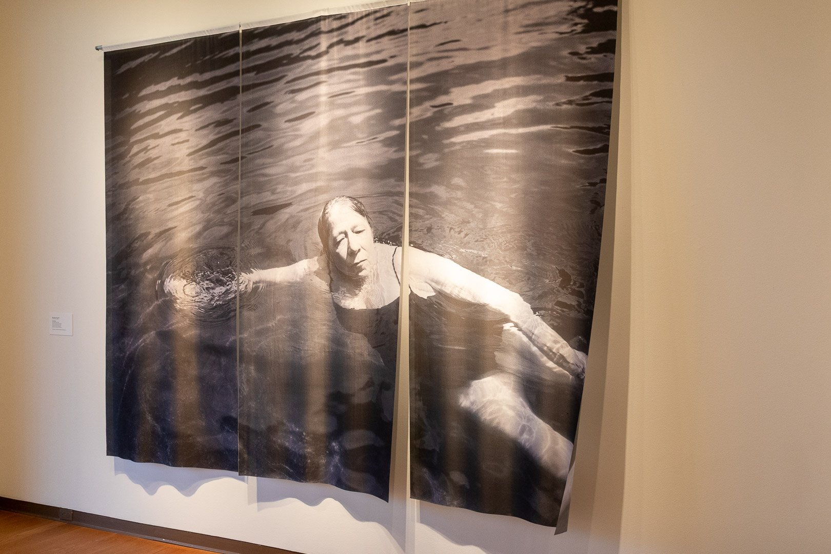  Rose Marie Cromwell  (b. Sacramento, CA, 1983)  Cold Plunge  2026  Silk  70 x 120 in.  Courtesy of the Artist and VISU Contemporary  Photography by Laura Serdiuk, Women in the Arts, Inc. 