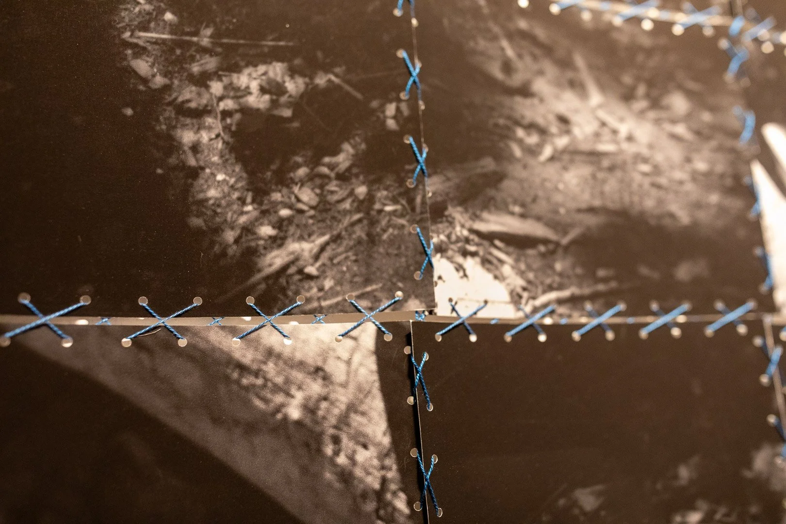  On the Log, 2026 (Detail View)  Photography by Laura Serdiuk, Women in the Arts, Inc. 